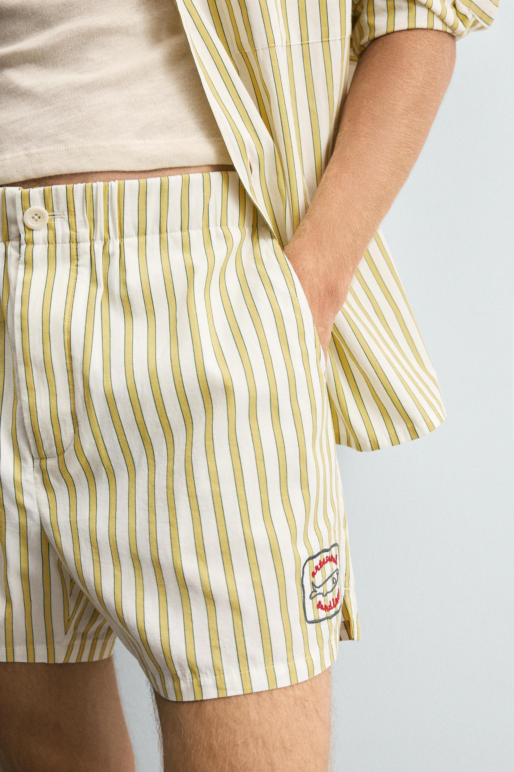 STRIPED EMBROIDERED SHORTS Product Image