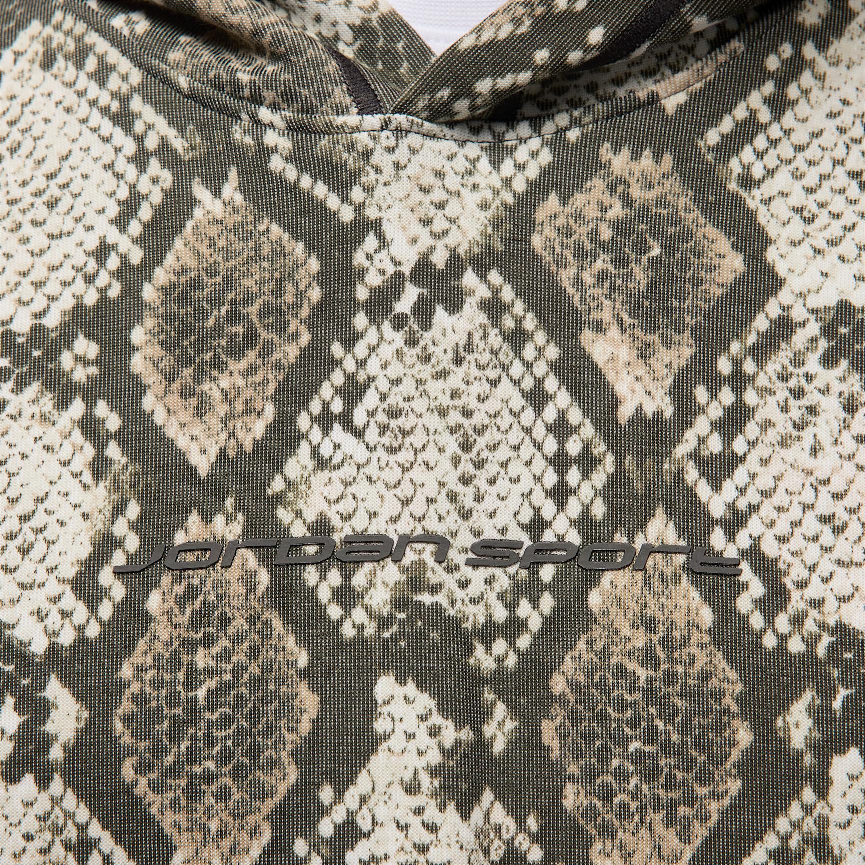 Mens Jordan Sport Hoop Fleece Dri-FIT Printed Pullover Hoodie | HF9894-133 Product Image