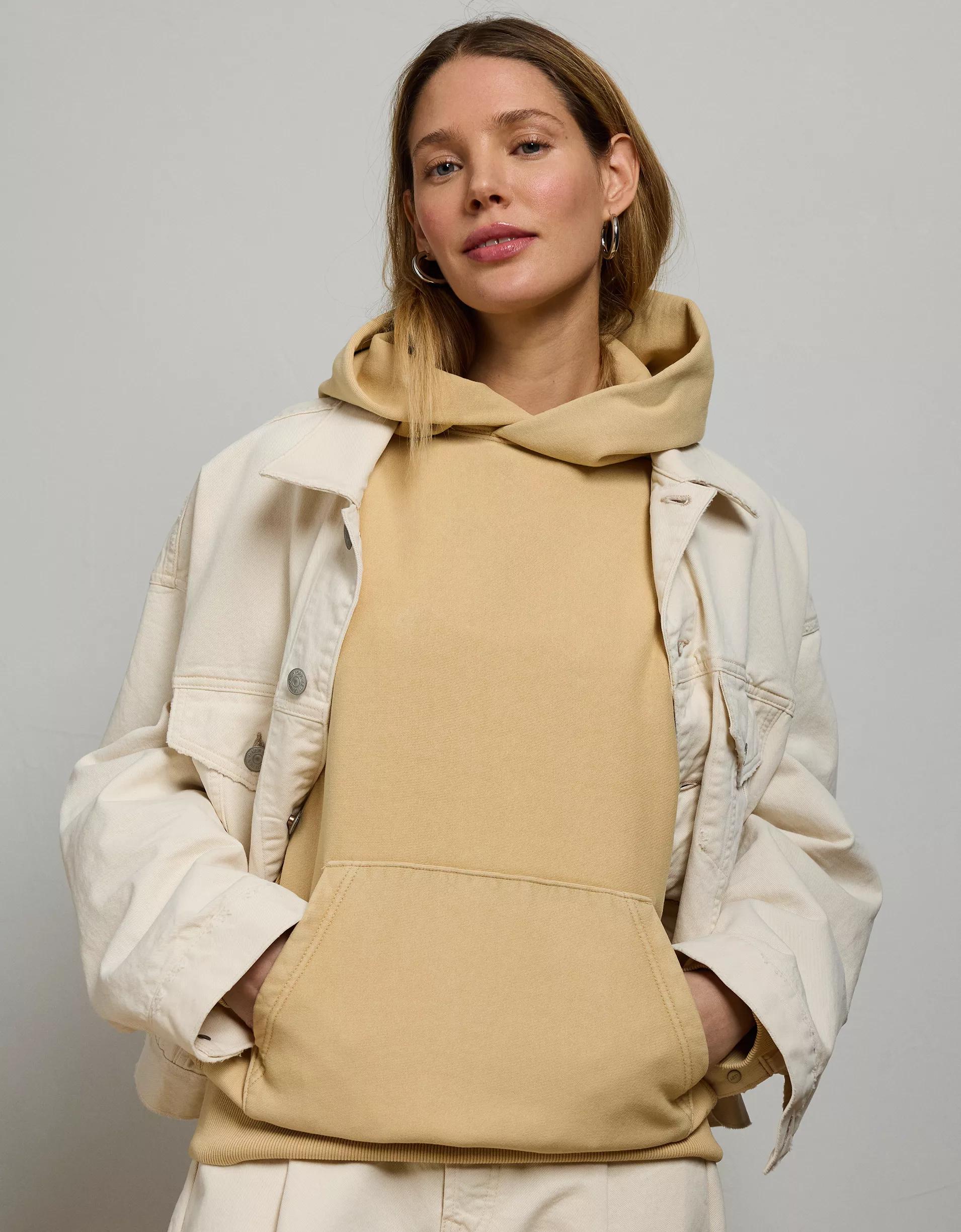 AE77 Premium Fleece Hoodie Product Image