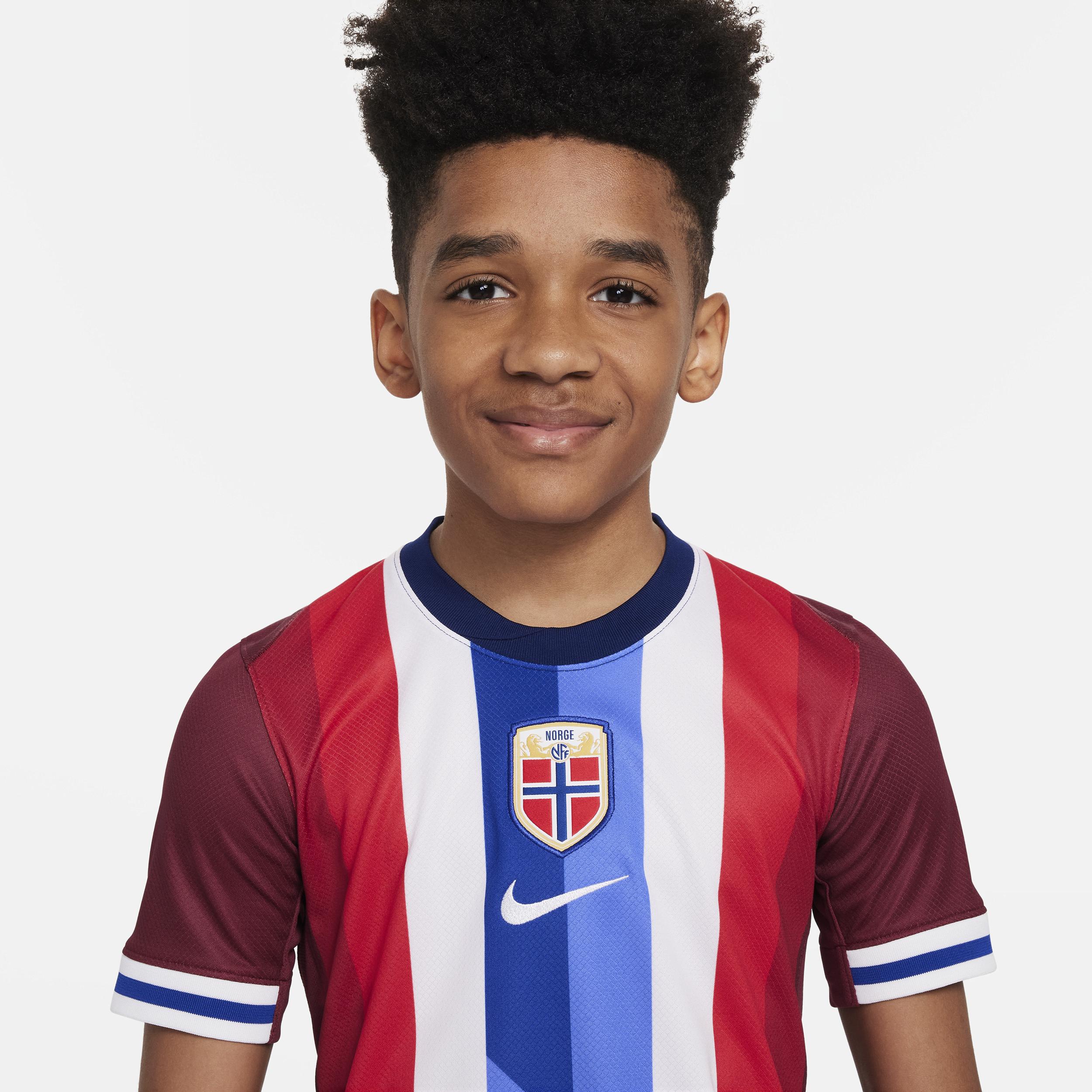 Norway (Men's Team) 2024/25 Stadium Home Big Kids' Nike Dri-FIT Soccer Replica Jersey Product Image