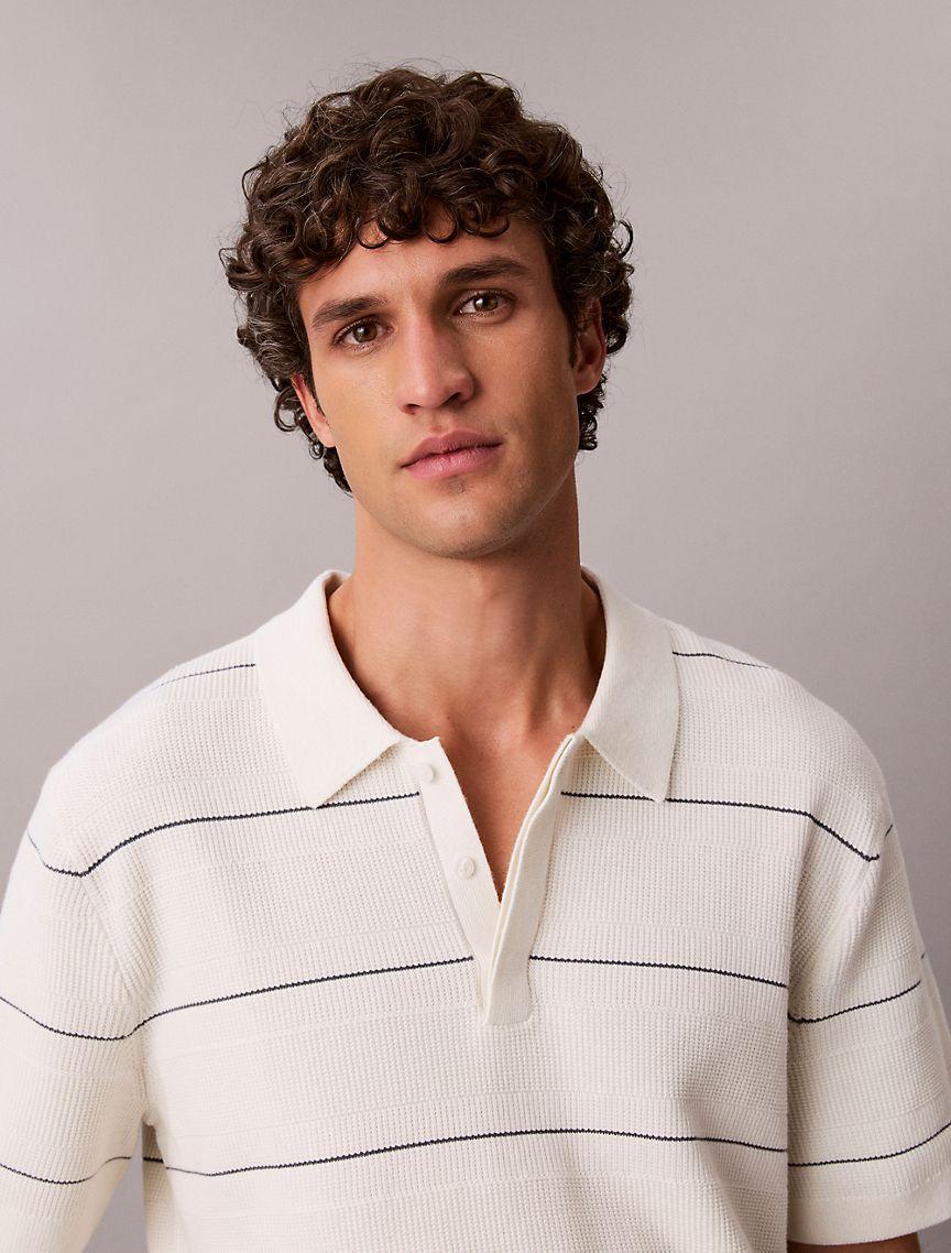 Cotton Stripe Sweater Polo Shirt Product Image