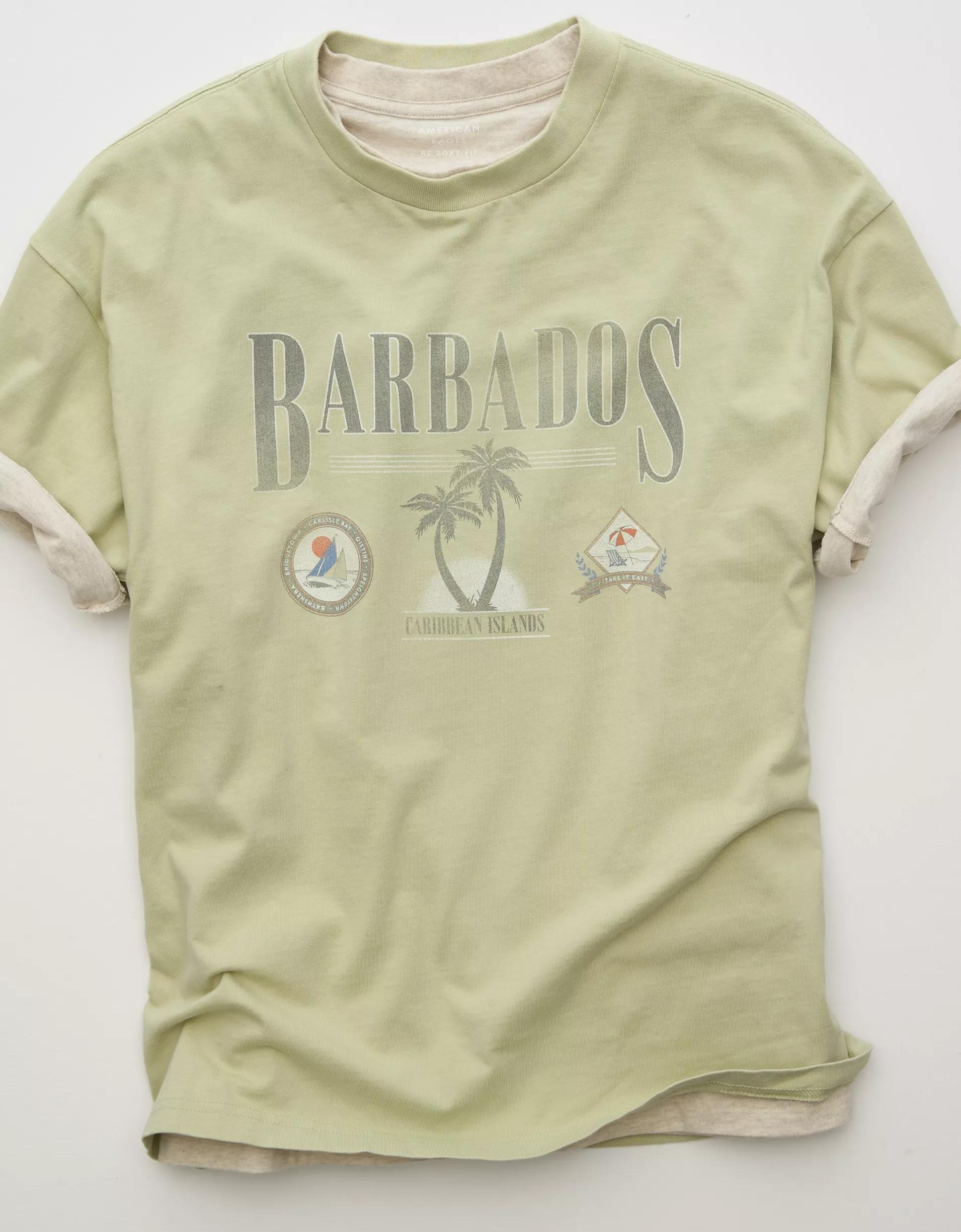 AE Boxy Destination Graphic T-Shirt Product Image