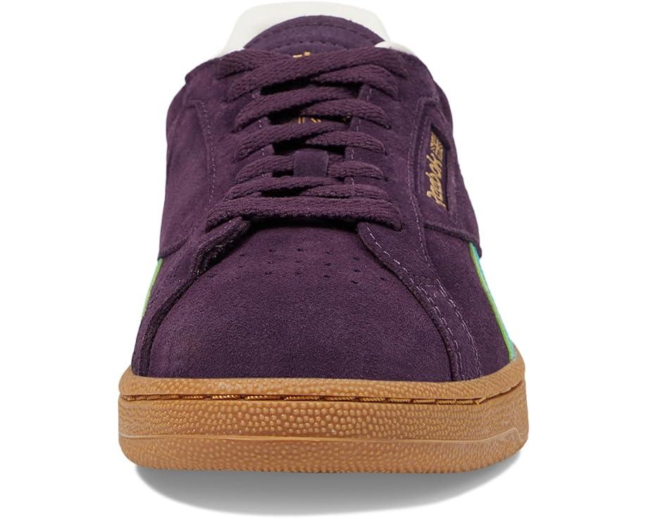 Campio XT Product Image