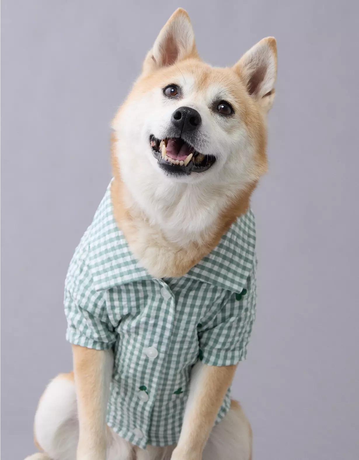 ABO Gingham Hearts Button-Up Dog Shirt Product Image
