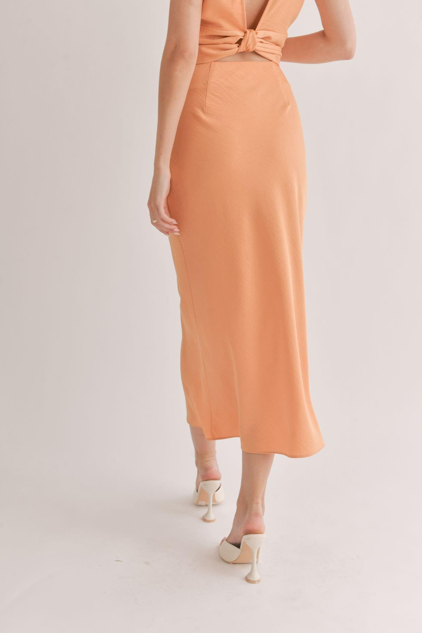 Jess Bias Midi Skirt Product Image