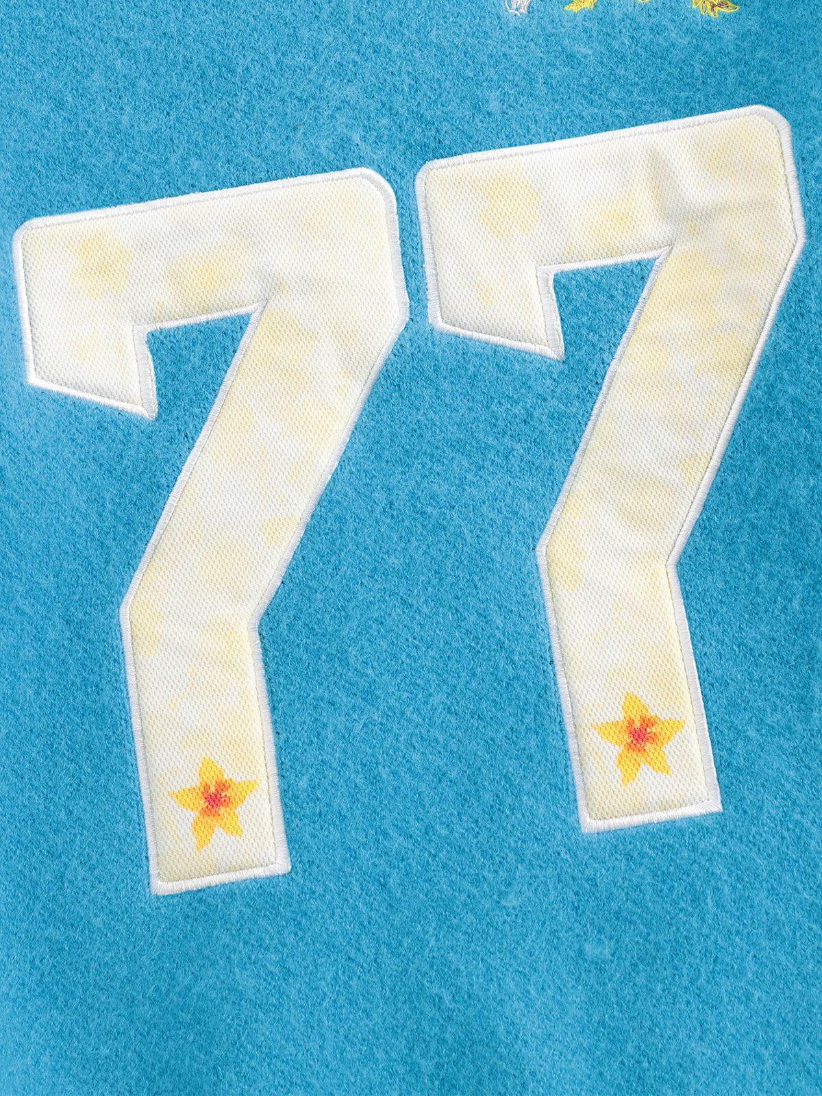 Aelfric Eden Floral 77 Color Blocking Polo Sweater Product Image