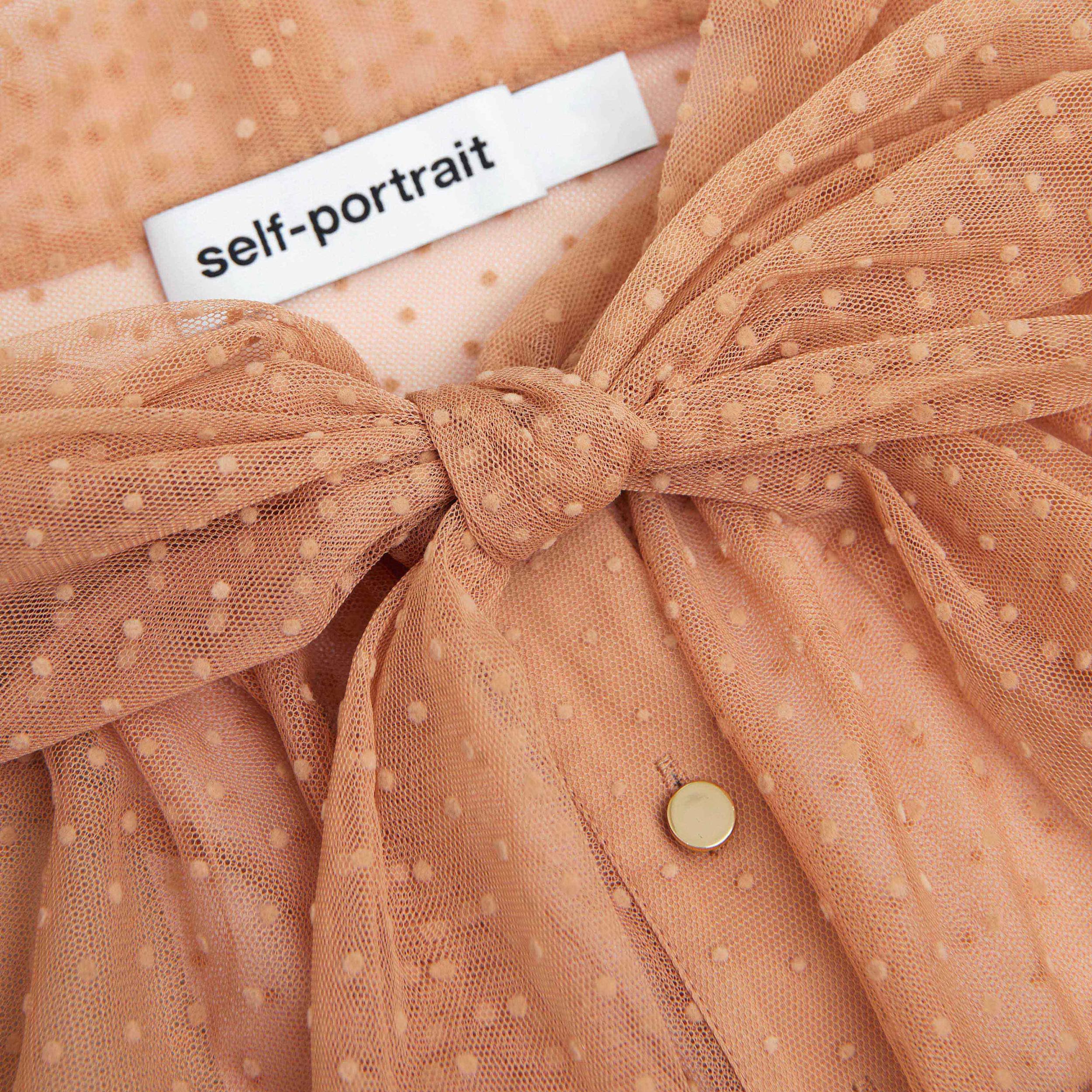 Tan Dot Mesh Maxi Dress Product Image