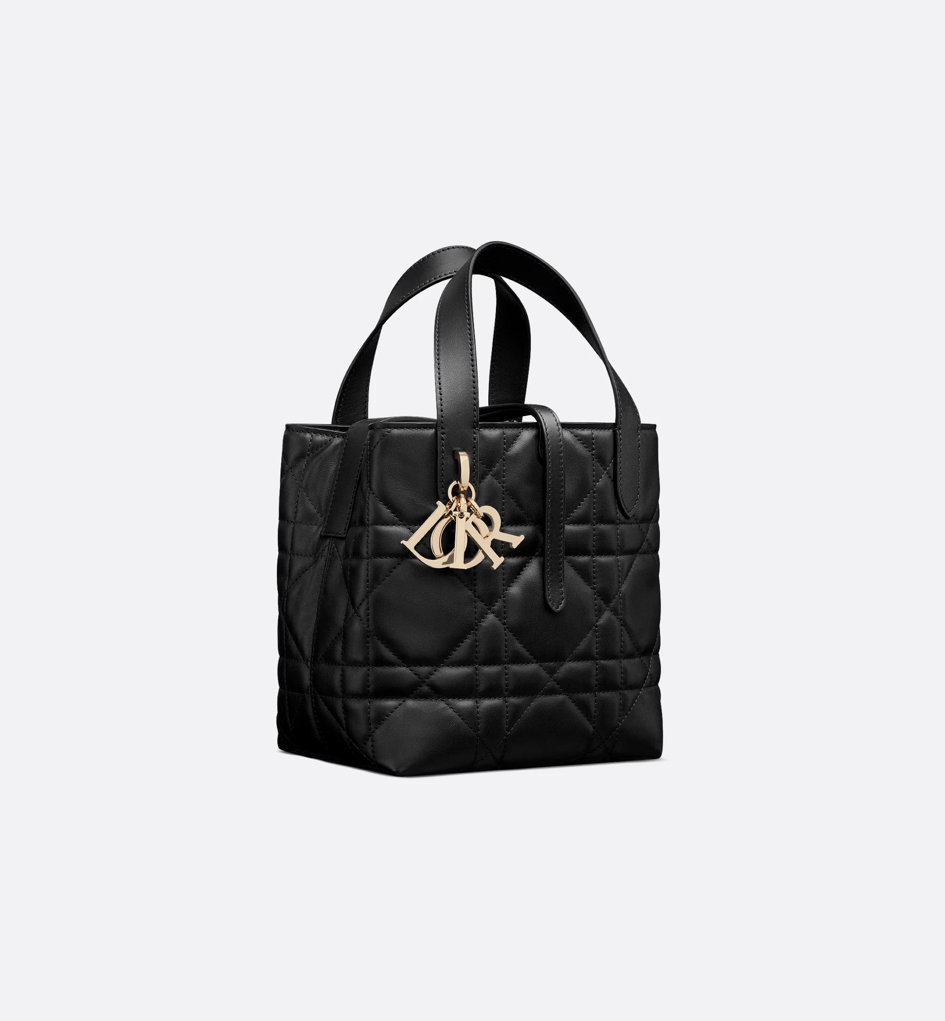Small Dior Toujours Vertical Tote Bag Product Image