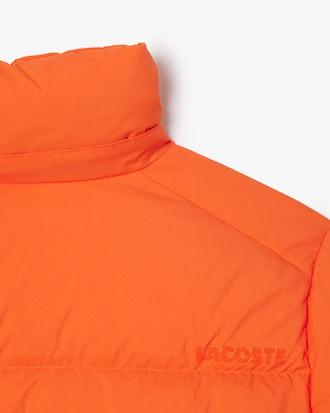 Relaxed Fit Hooded Down Jacket Product Image