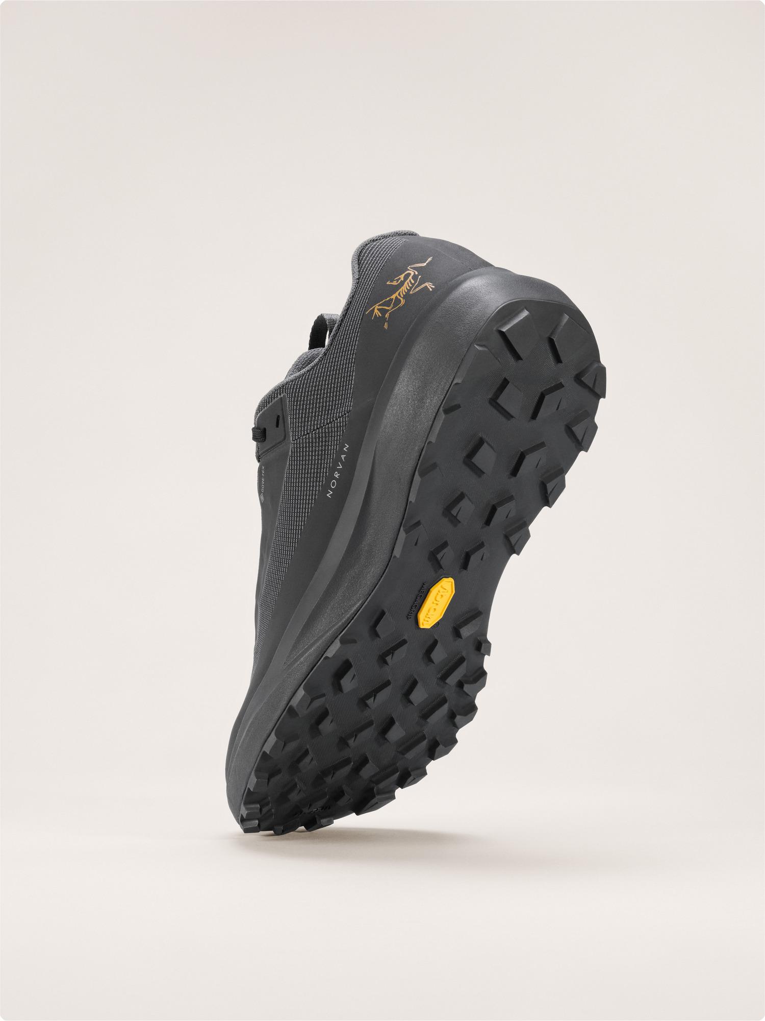 Norvan LD 4 GTX Shoe Men's Product Image