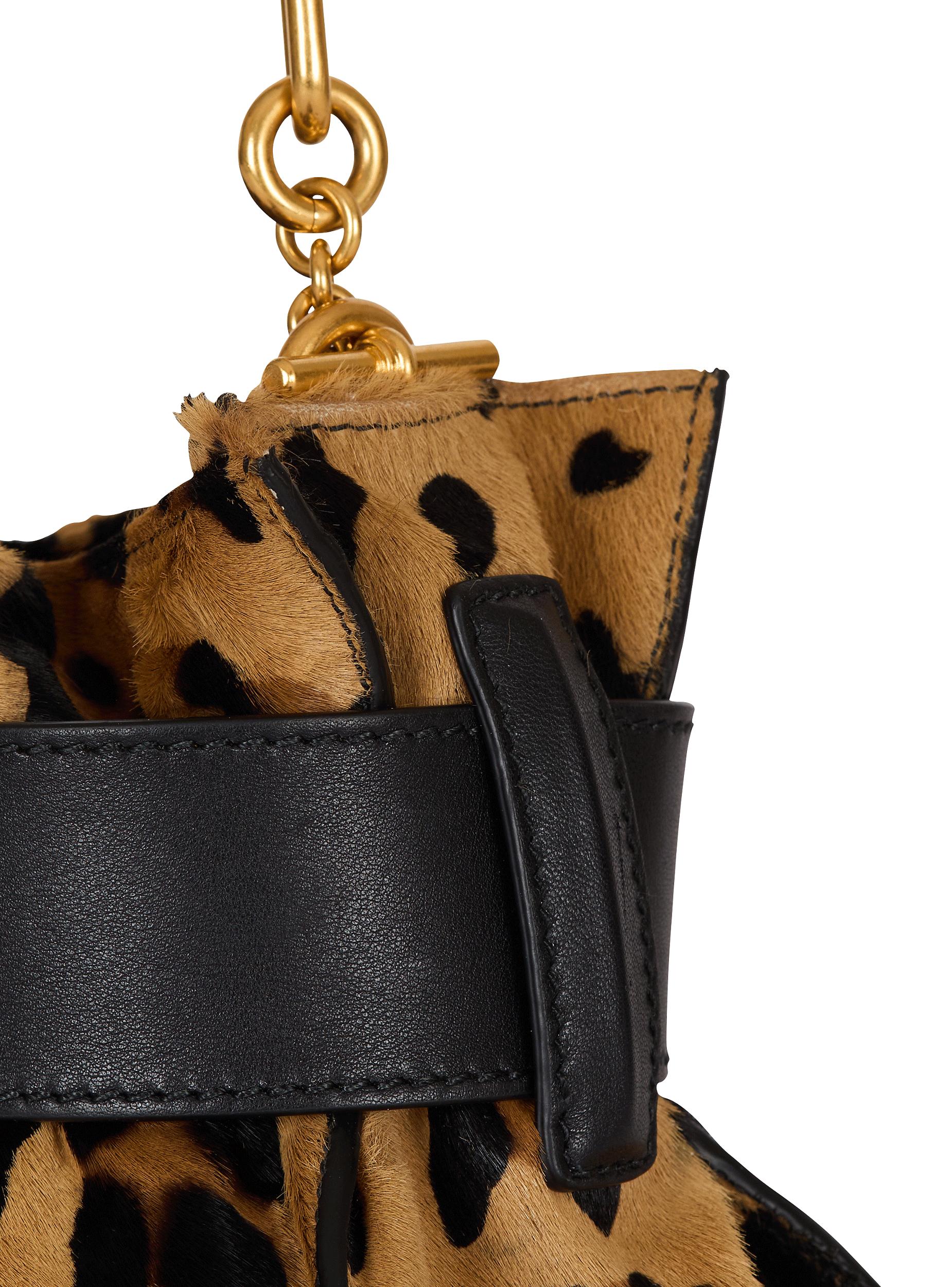 Anthem Mini ponyskin-style leopard print bag Product Image