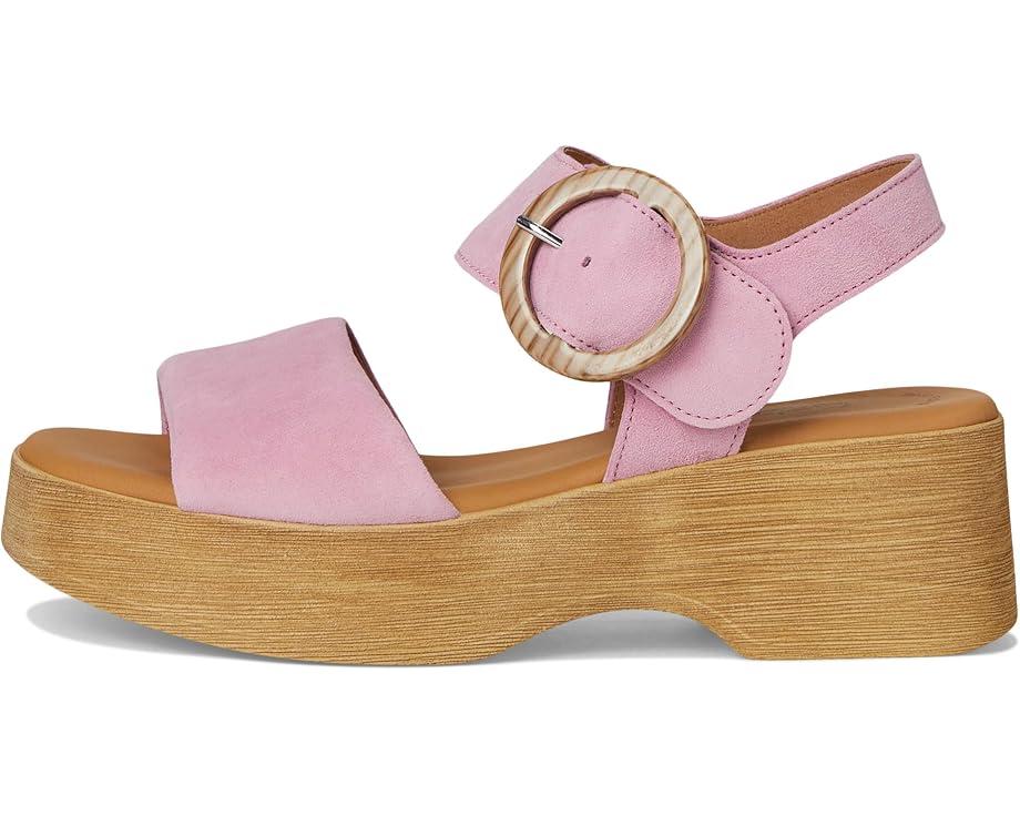 MSRP: $199(10% OFF) Product Image