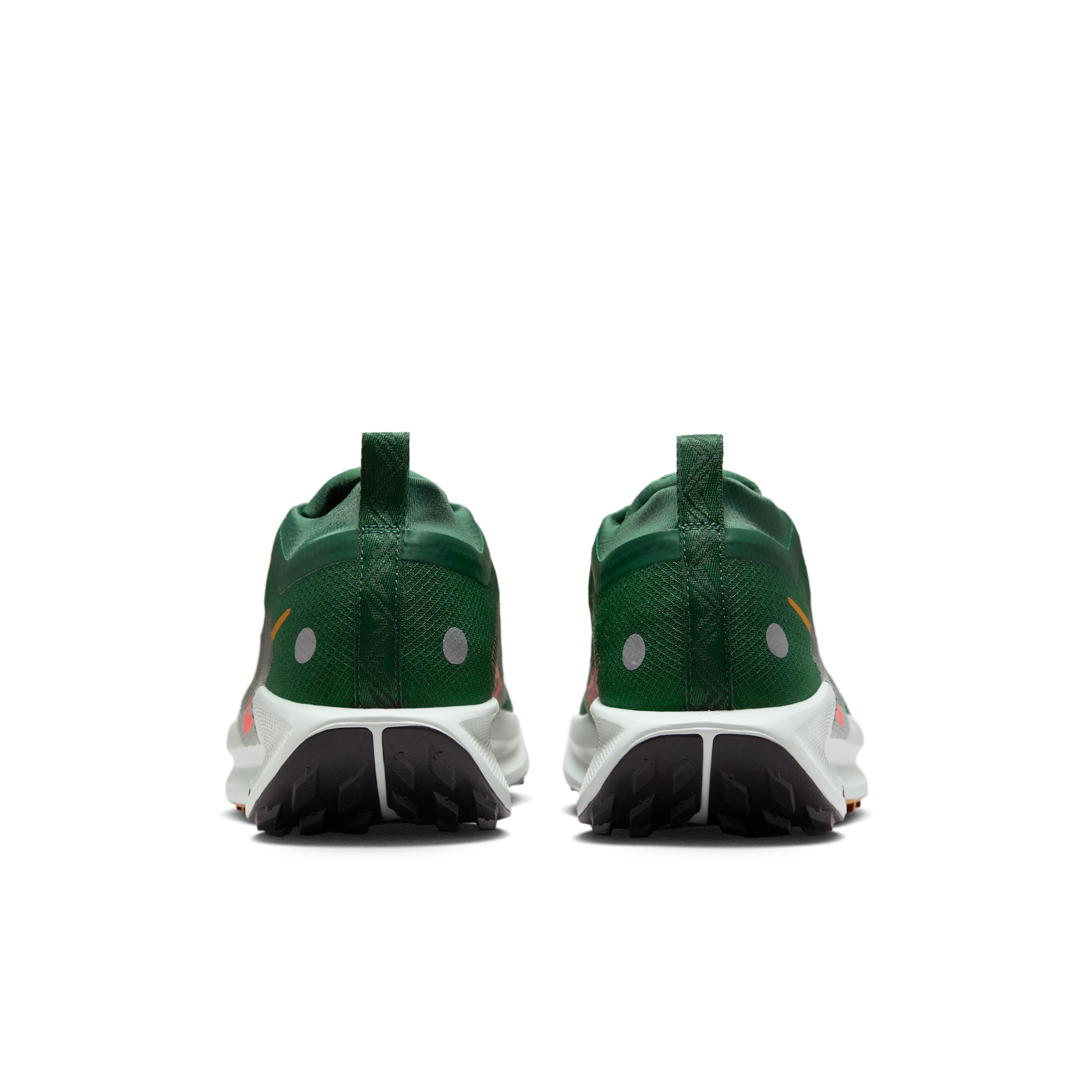 Nike Mens Pegasus Trail 5 GORE-TEX Waterproof Trail Running Shoes | FQ0908-301 Product Image