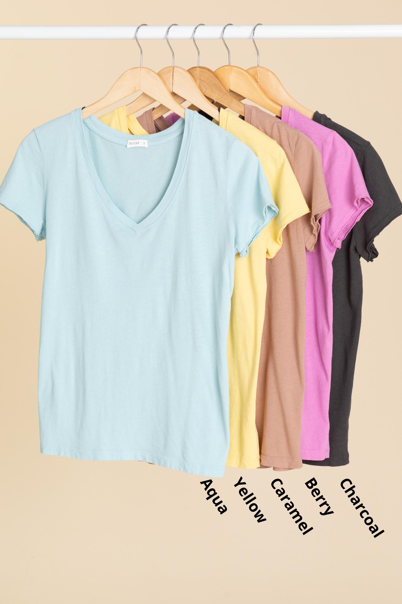 Ultra Soft V-Neck Basic Knit Top Product Image