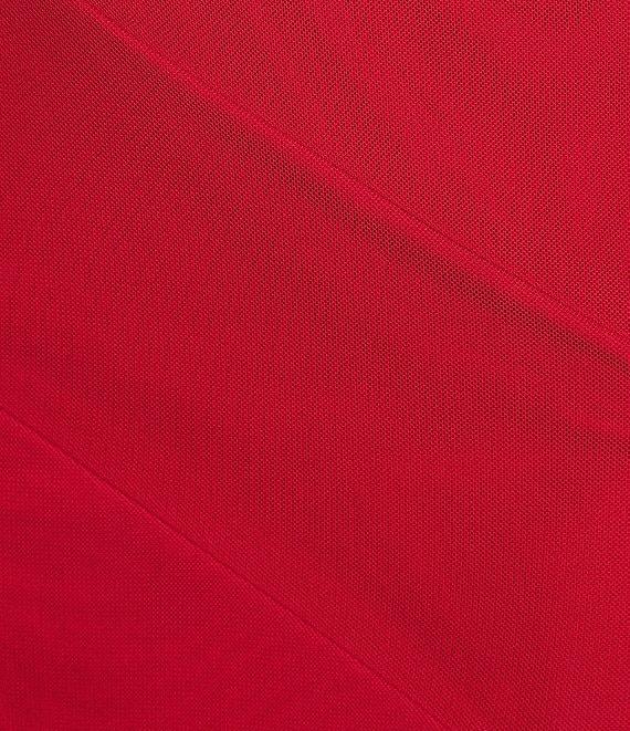 I.N. San Francisco Ruffle Mesh Maxi Dress Product Image