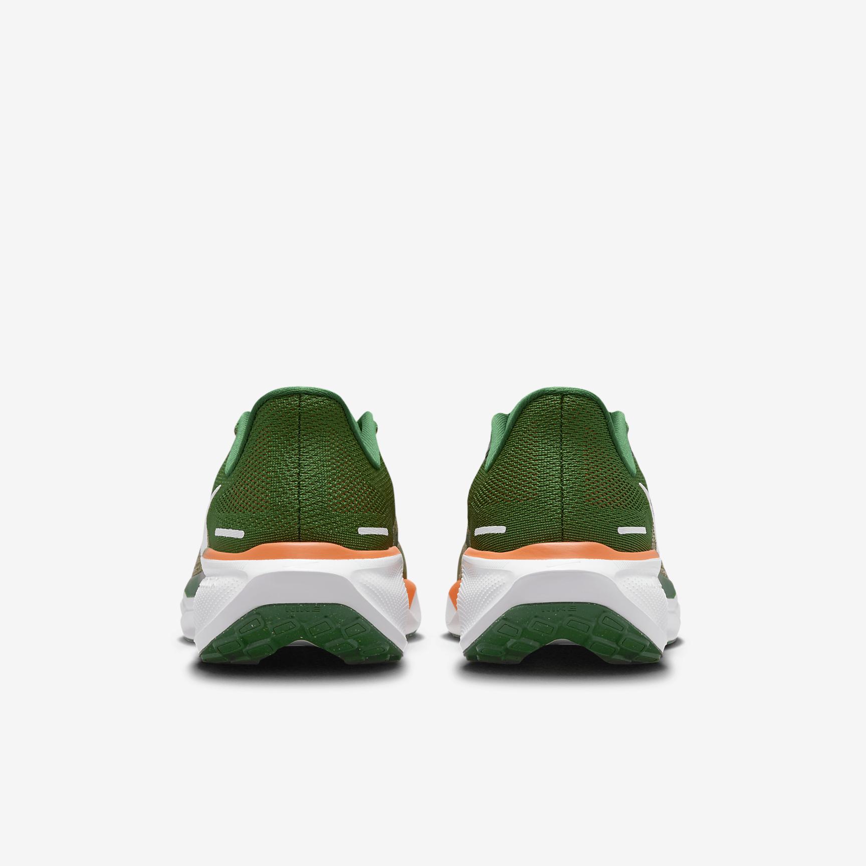 FAMU Pegasus 41 Men's Nike College Road Running Shoes Product Image