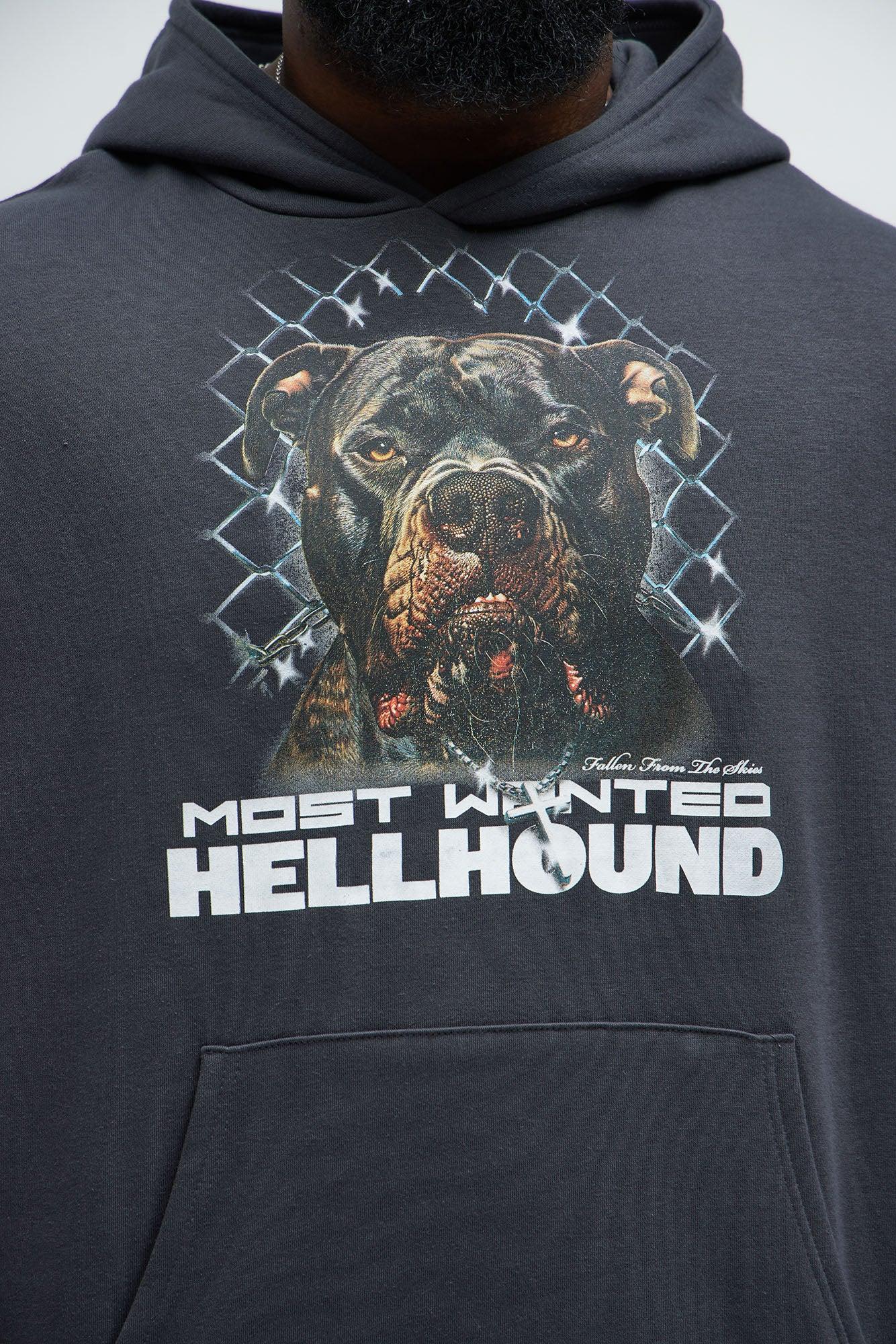 Fallen From The Skies Hoodie - Charcoal Product Image