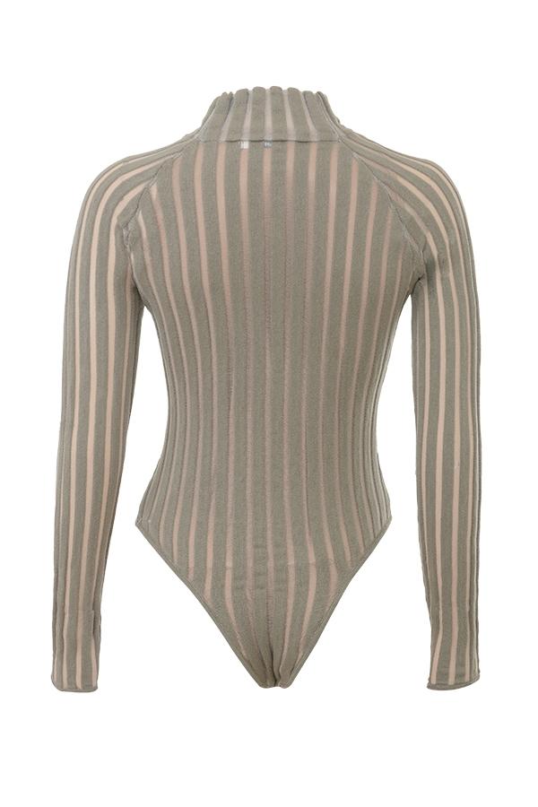 Rowena  grey velour sheer striped bodysuit Product Image