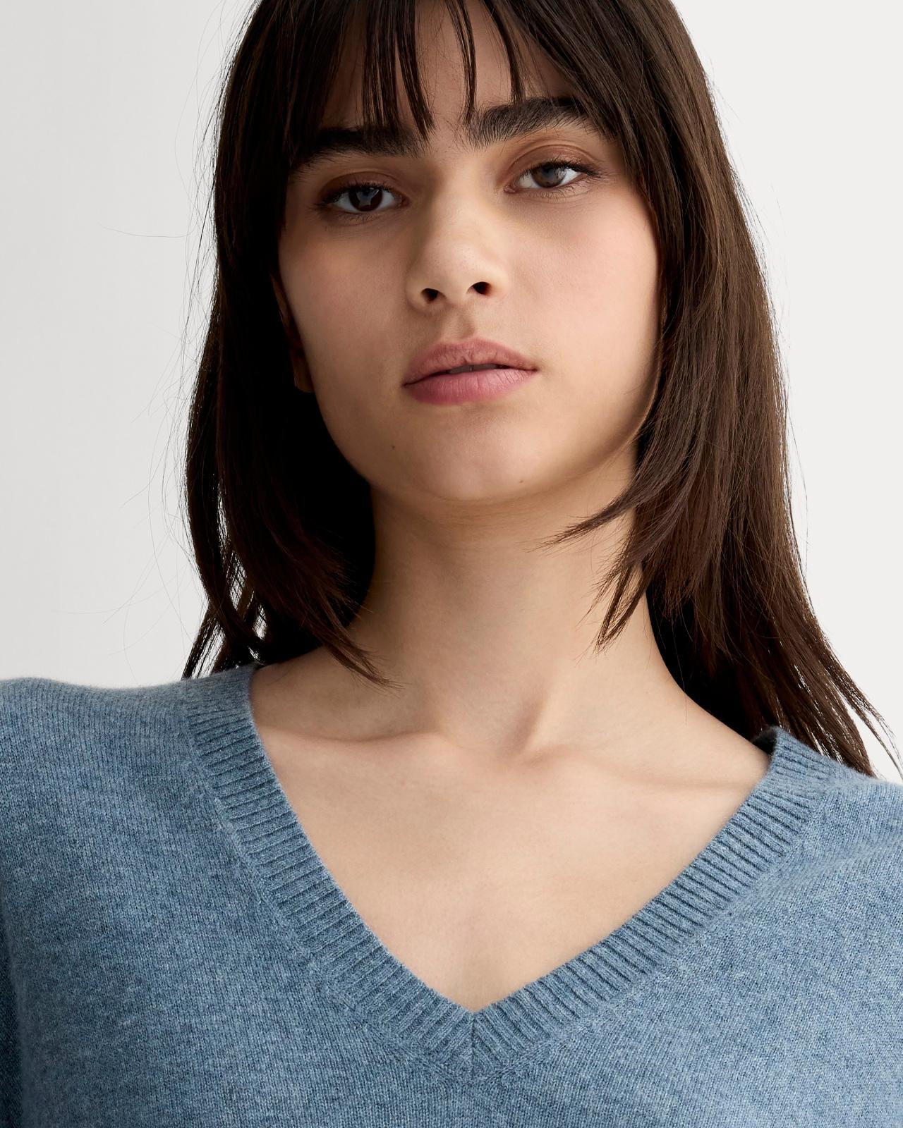 Womens Classic V in Cashmere Sweater by Everlane Product Image