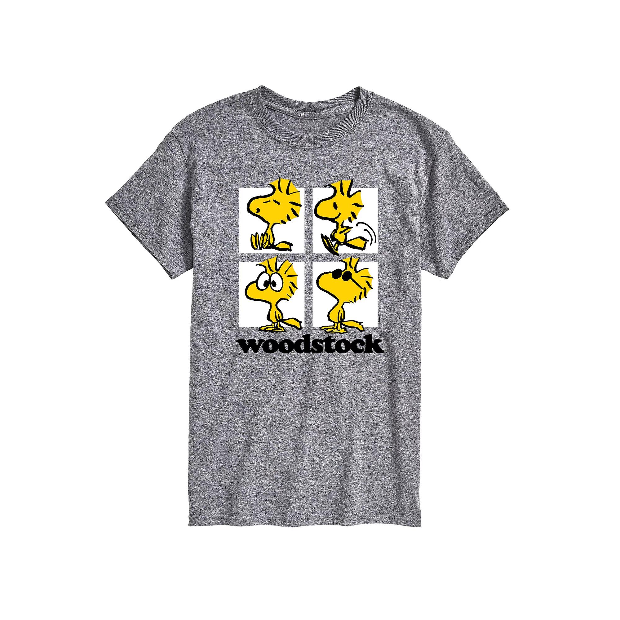 Big & Tall Peanuts Woodstock Grid Graphic Tee, Men's,  Product Image