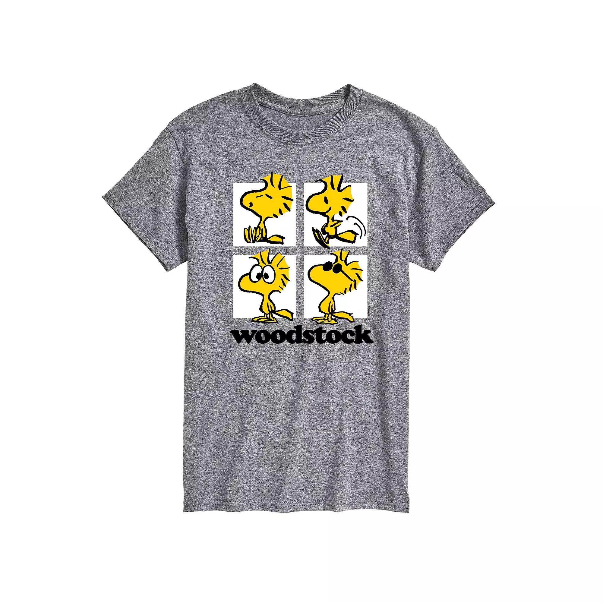 Big & Tall Peanuts Woodstock Grid Graphic Tee, Men's,  Product Image
