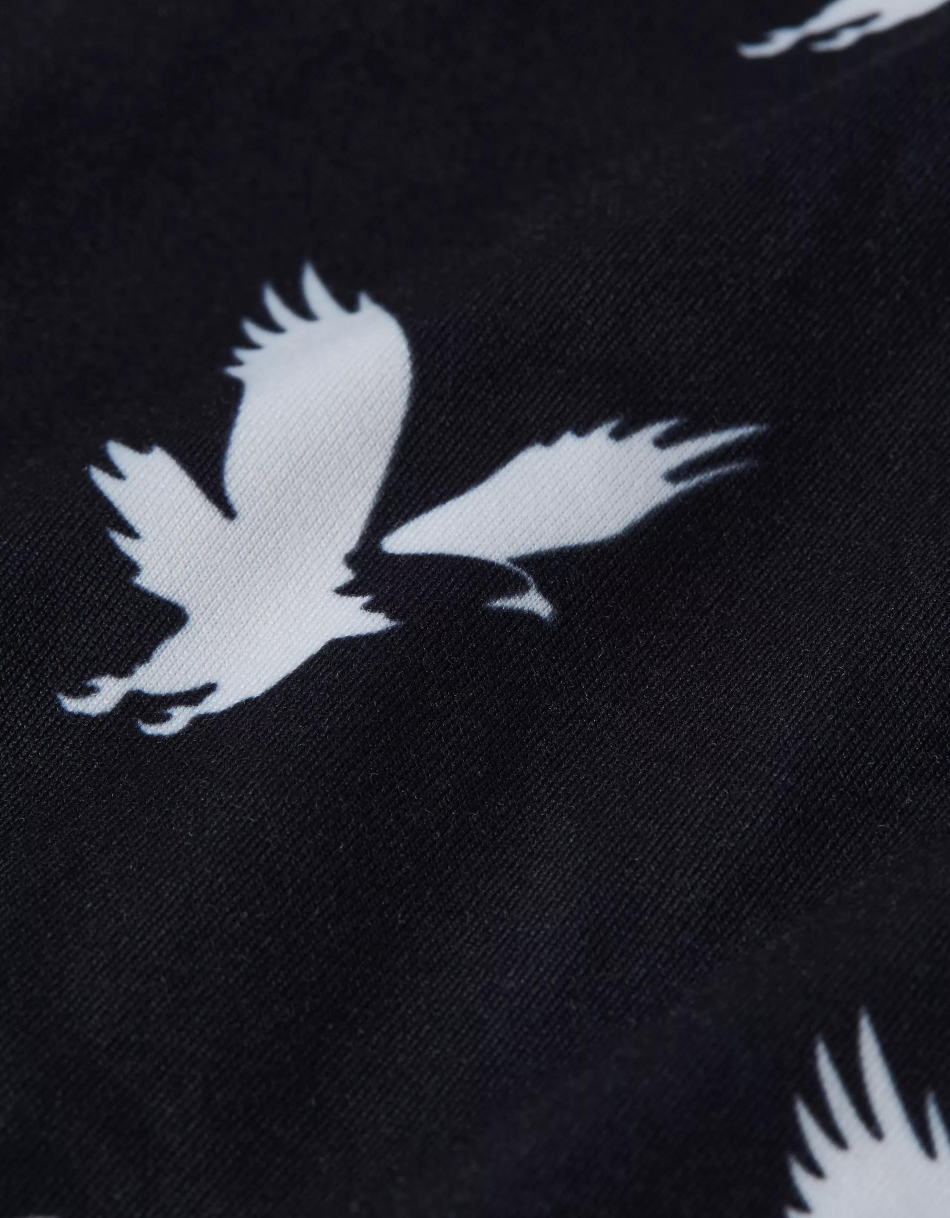 AEO Men's Eagles 6" Flex Boxer Brief Product Image