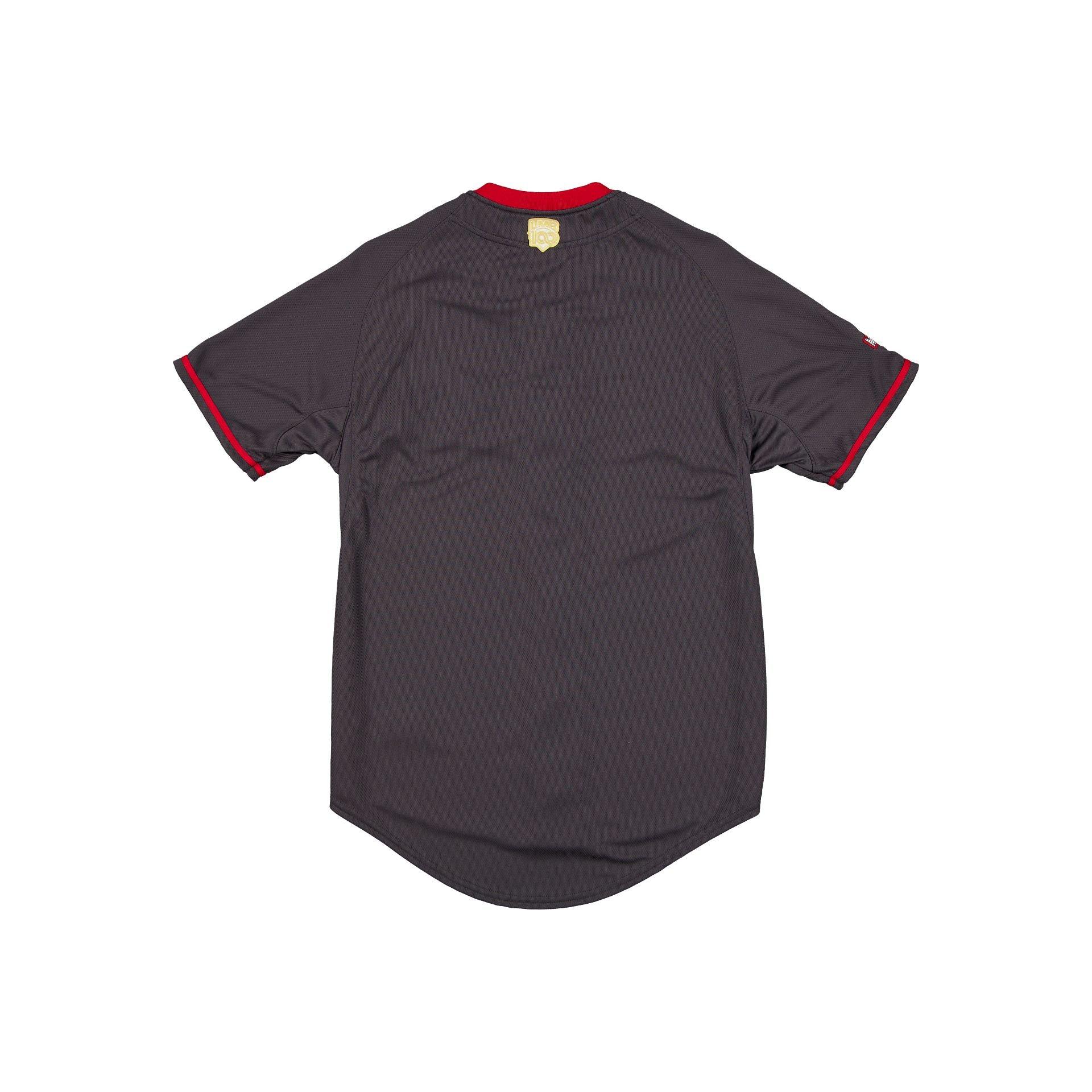 Diablos Rojos del México LMB 100th Anniversary Gray Alt Jersey Male Product Image