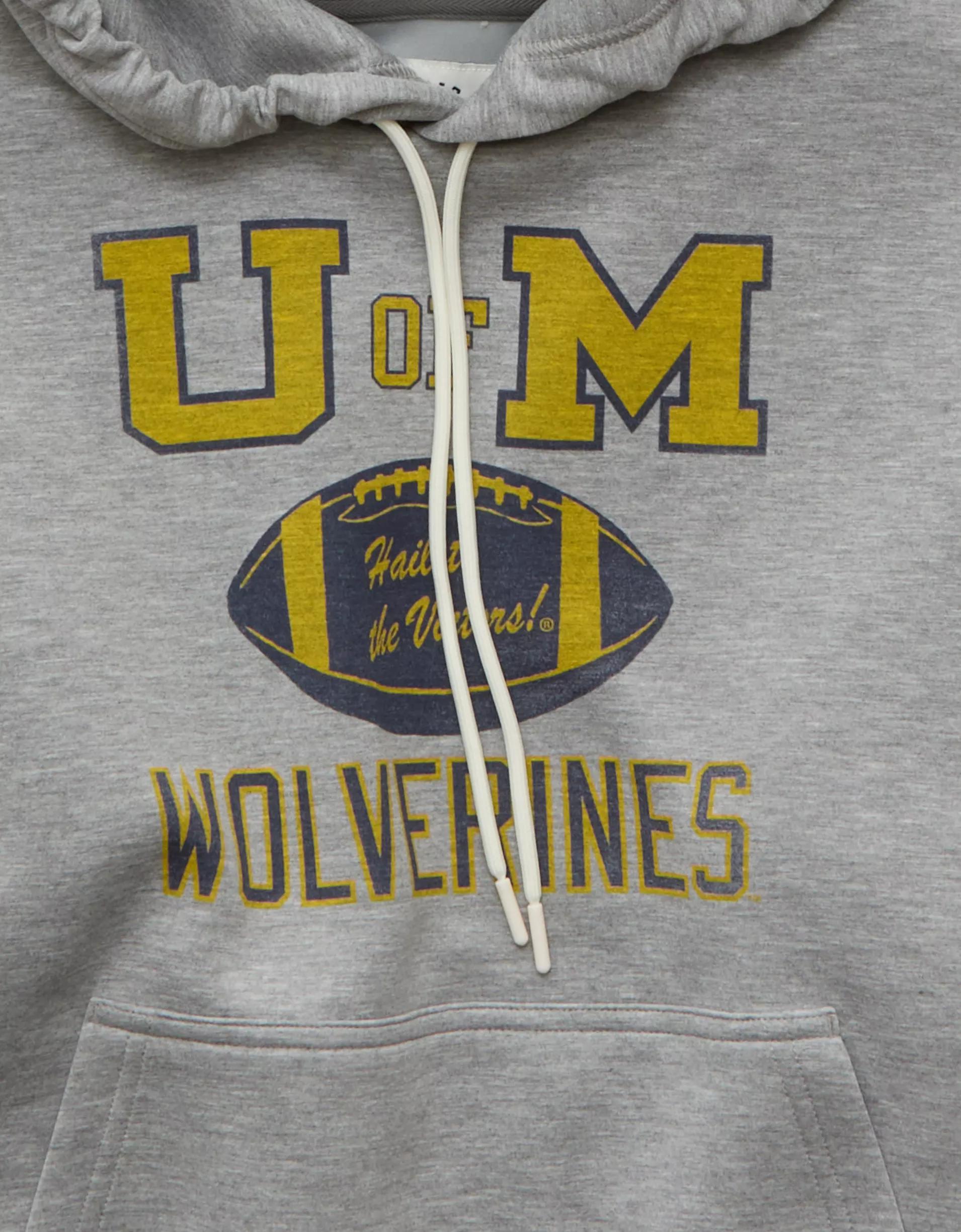 AE 24/7 Michigan Wolverines Graphic Hoodie Product Image