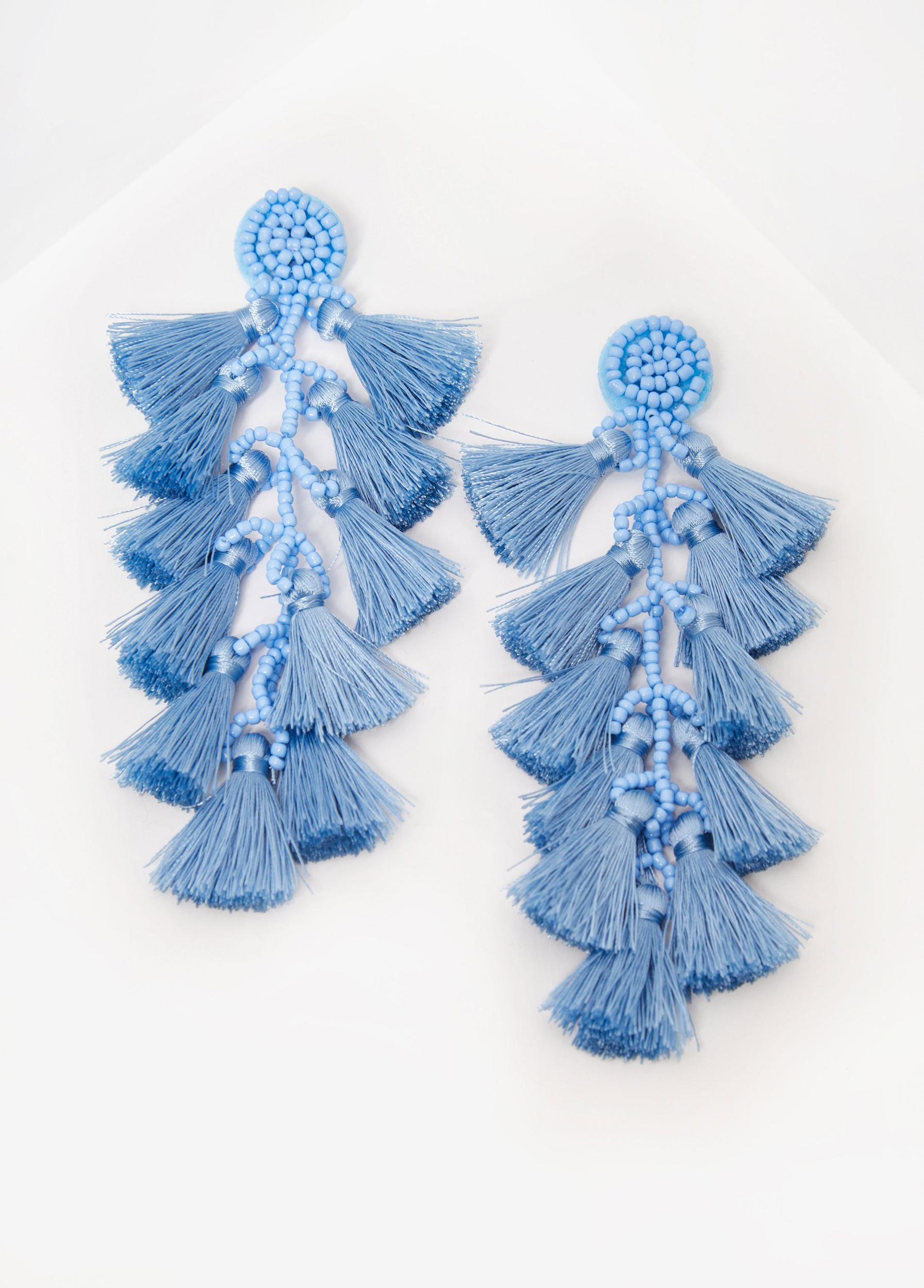 Tasseled Dangle Earrings Product Image