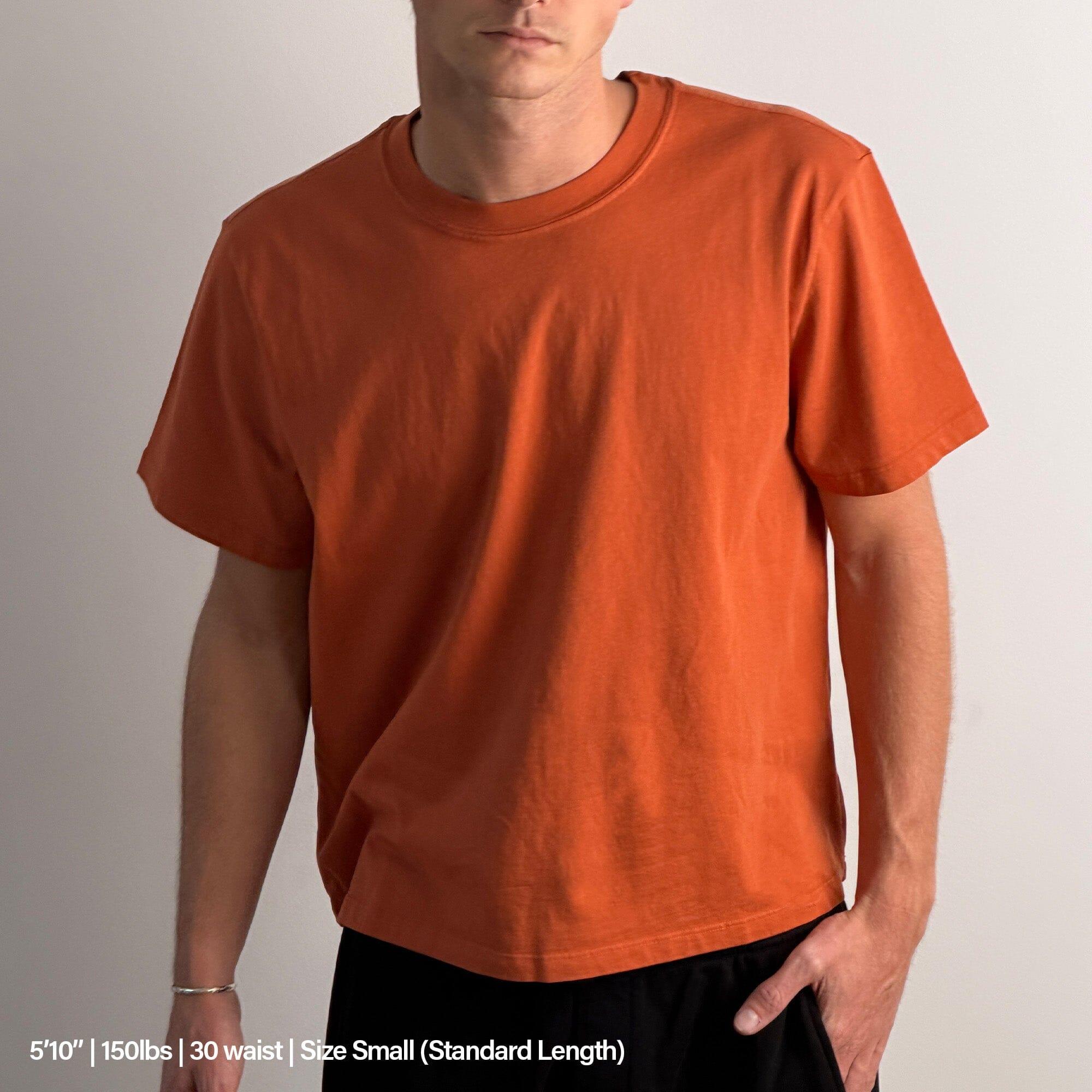 Silverlake Crop Tee II Product Image