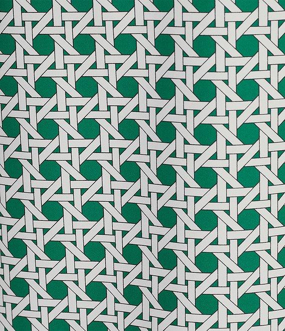 Jude Connally Coordinating Alexa Petite Rattan Print Split V-Neck Sleeveless Tank Top Product Image