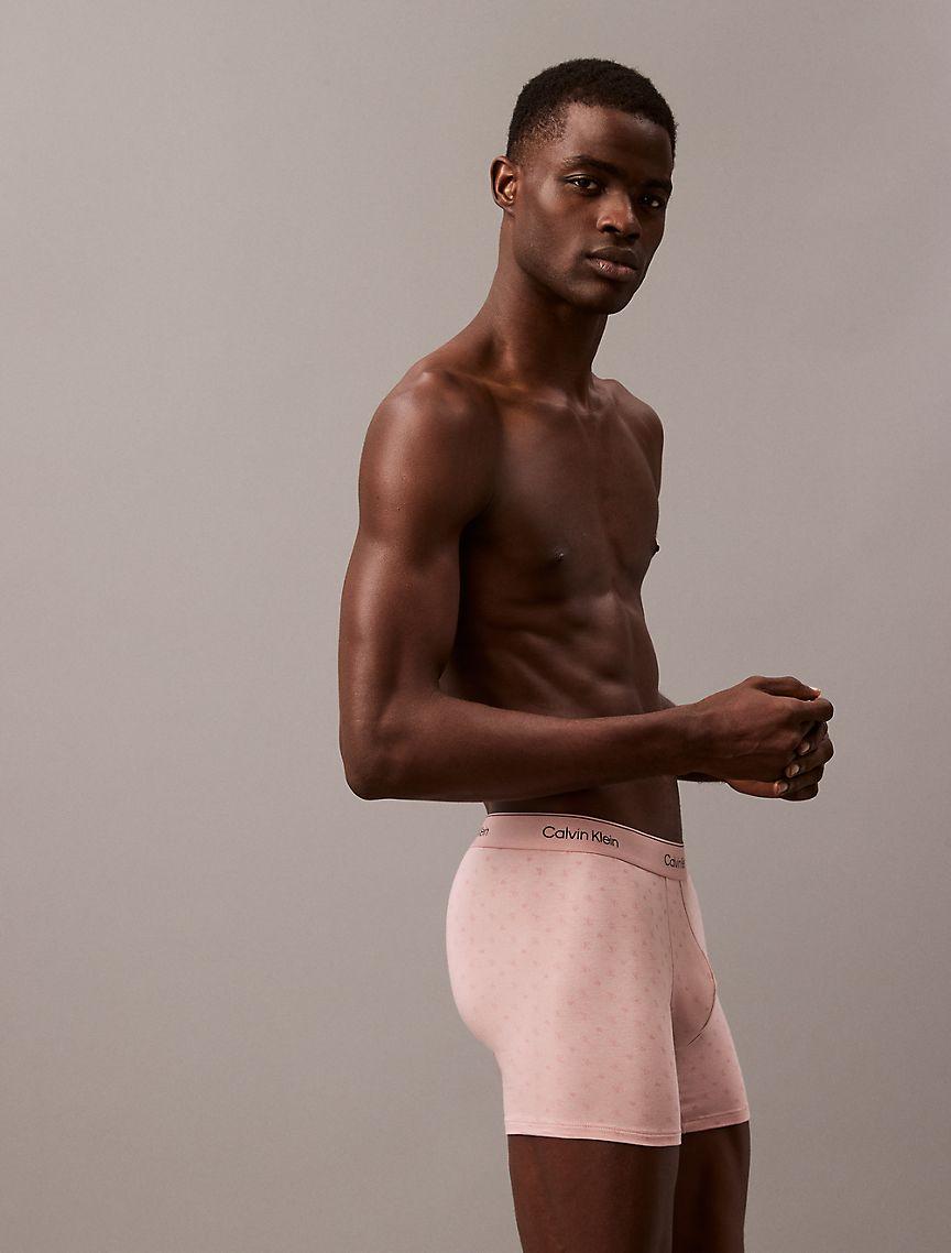 Icon Cotton Stretch V-Day Boxer Brief Product Image