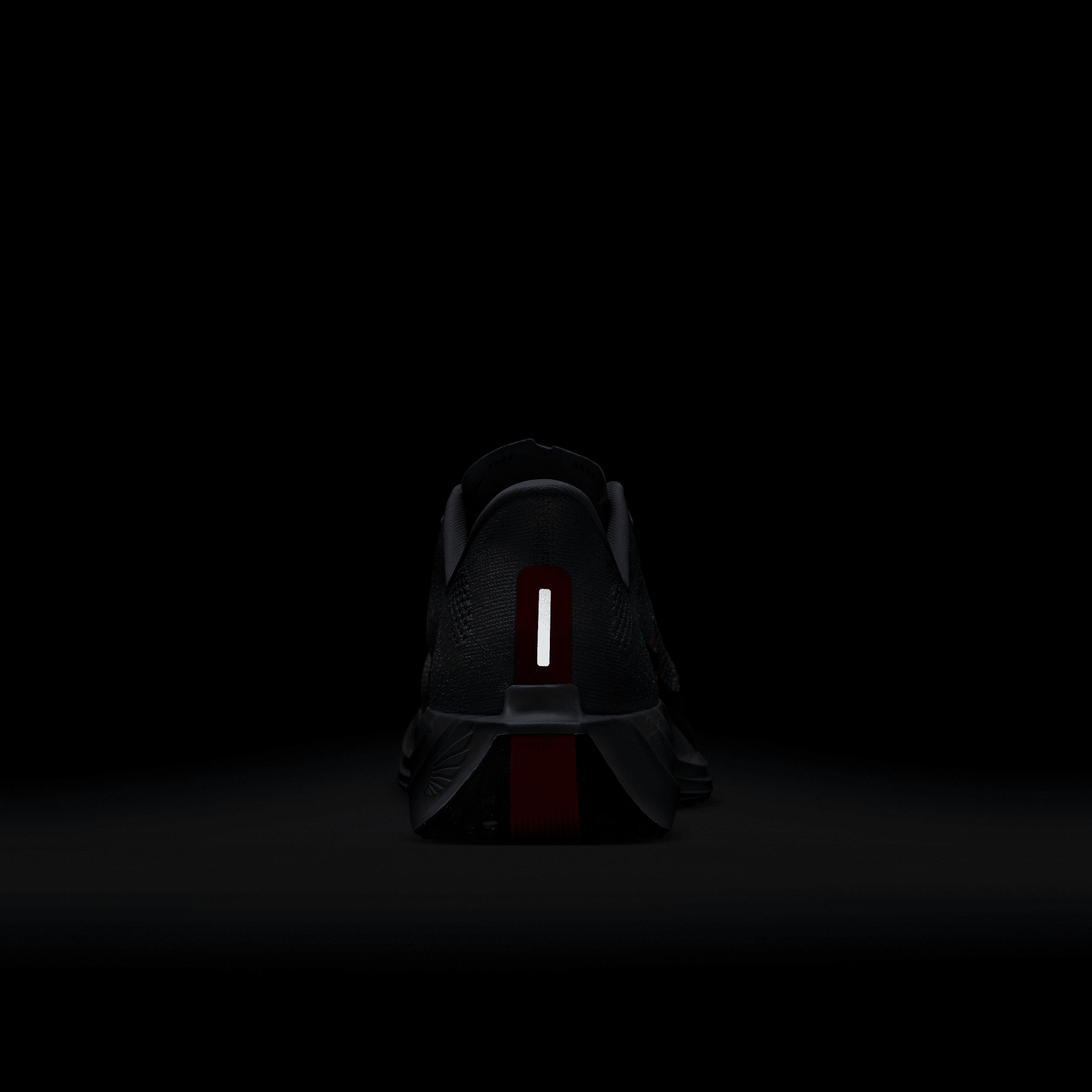 Nike Men's Pegasus Plus Road Running Shoes Product Image