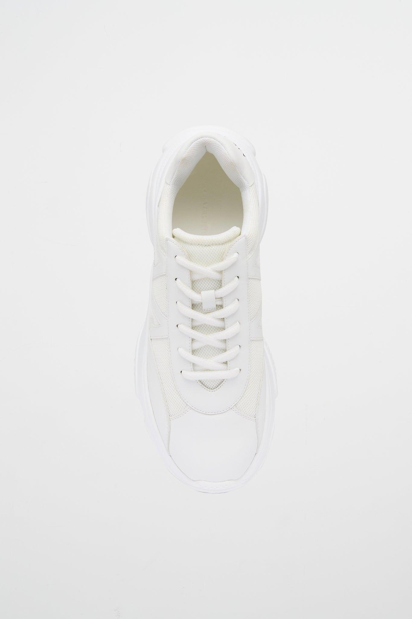A.A Mesh Logo Sneaker 922 Product Image