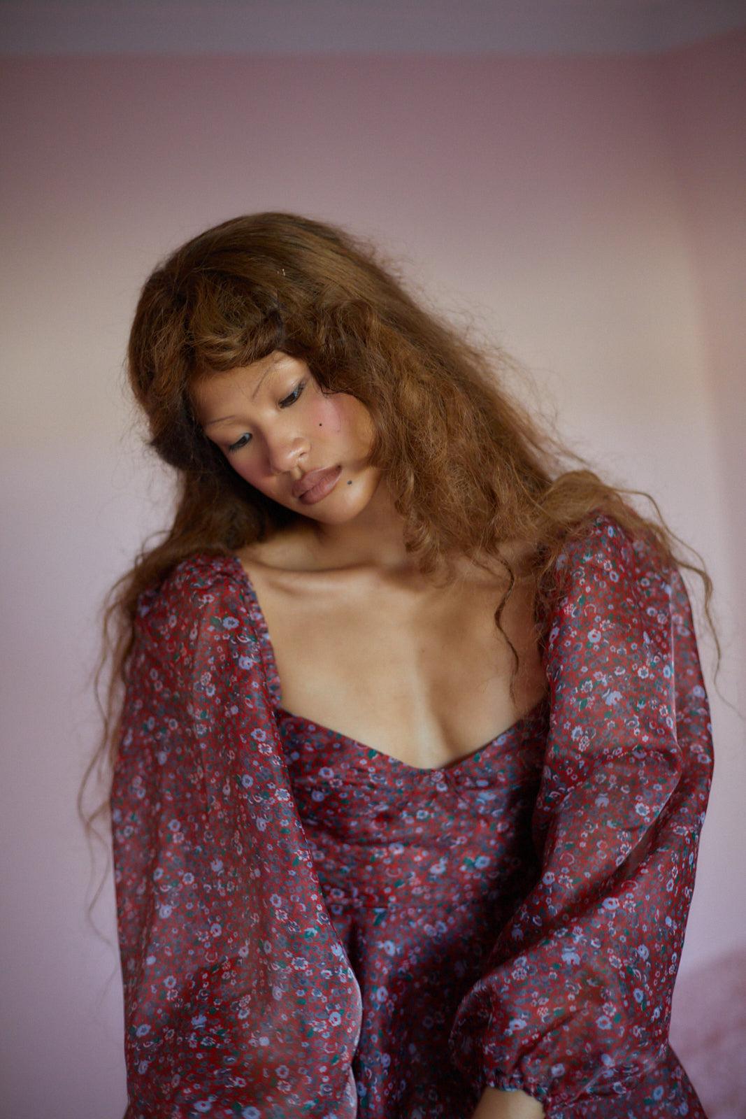 The Crimson Princess Dress Product Image