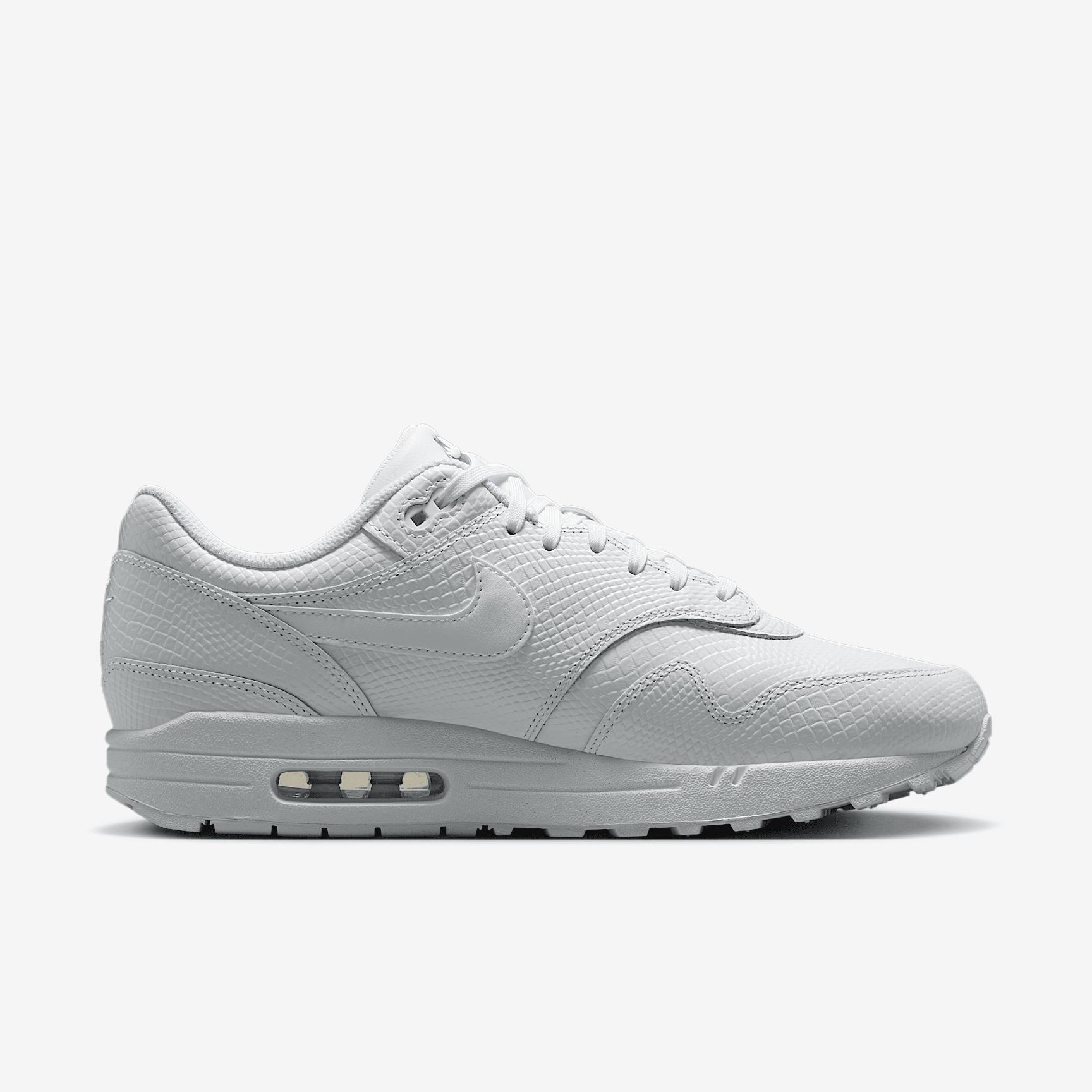Nike Mens Air Max 1 Premium Shoes | HV1211-100 Product Image