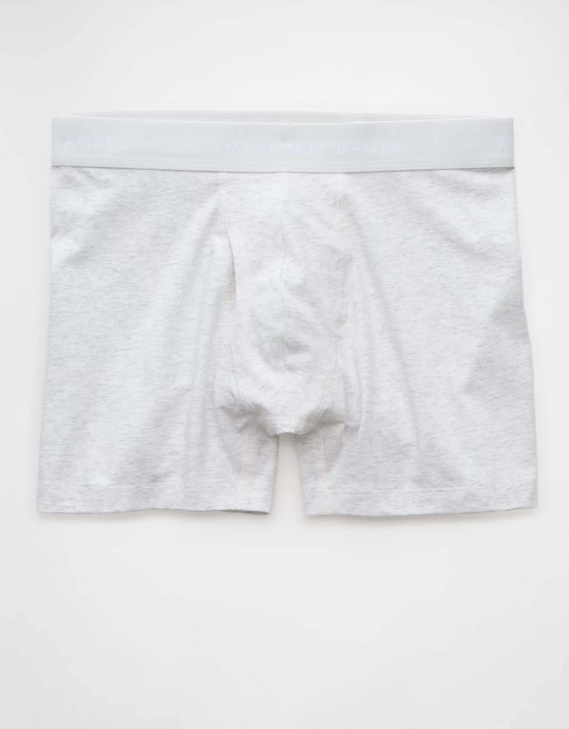 AEO Men's 4.5" Classic Boxer Brief Product Image