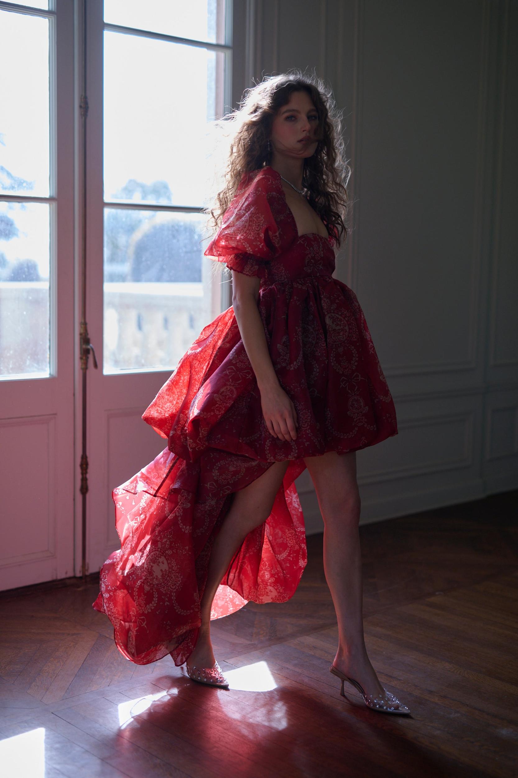 The Ornament Fairytale Gown Product Image