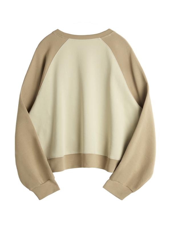 Letter Print Color Block Splice Raglan Oversized Hoodie Product Image