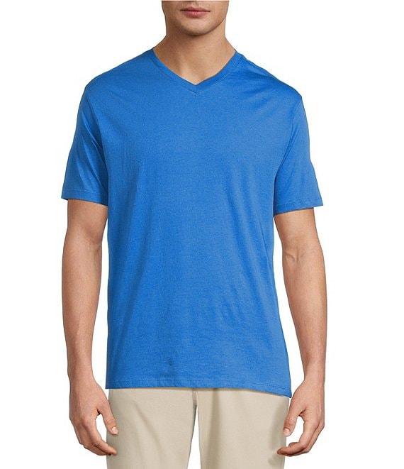 Roundtree & Yorke Big & Tall Solid Cloud Short Sleeve V-Neck T-Shirt Product Image