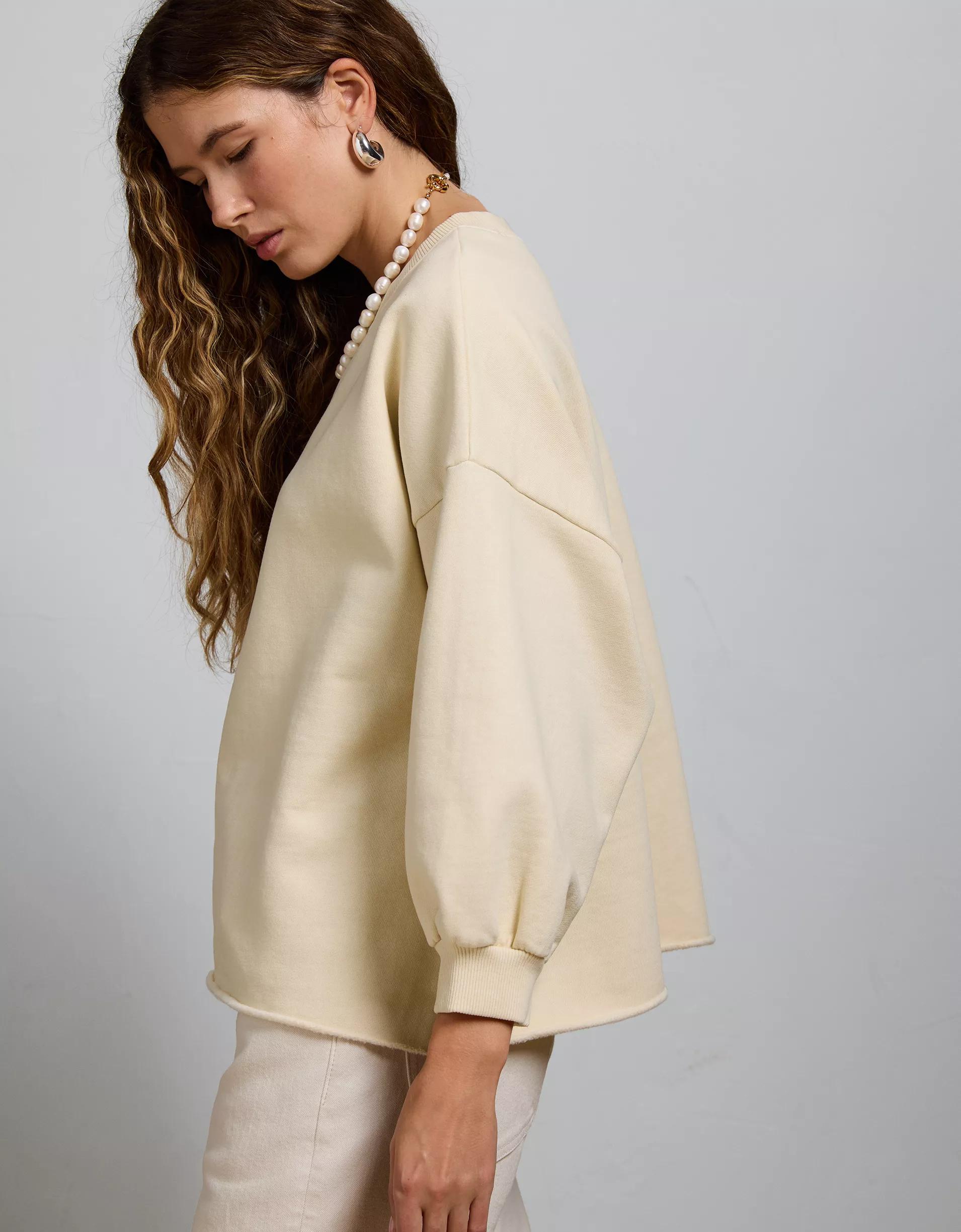 AE77 Premium Fleece Sweatshirt Product Image