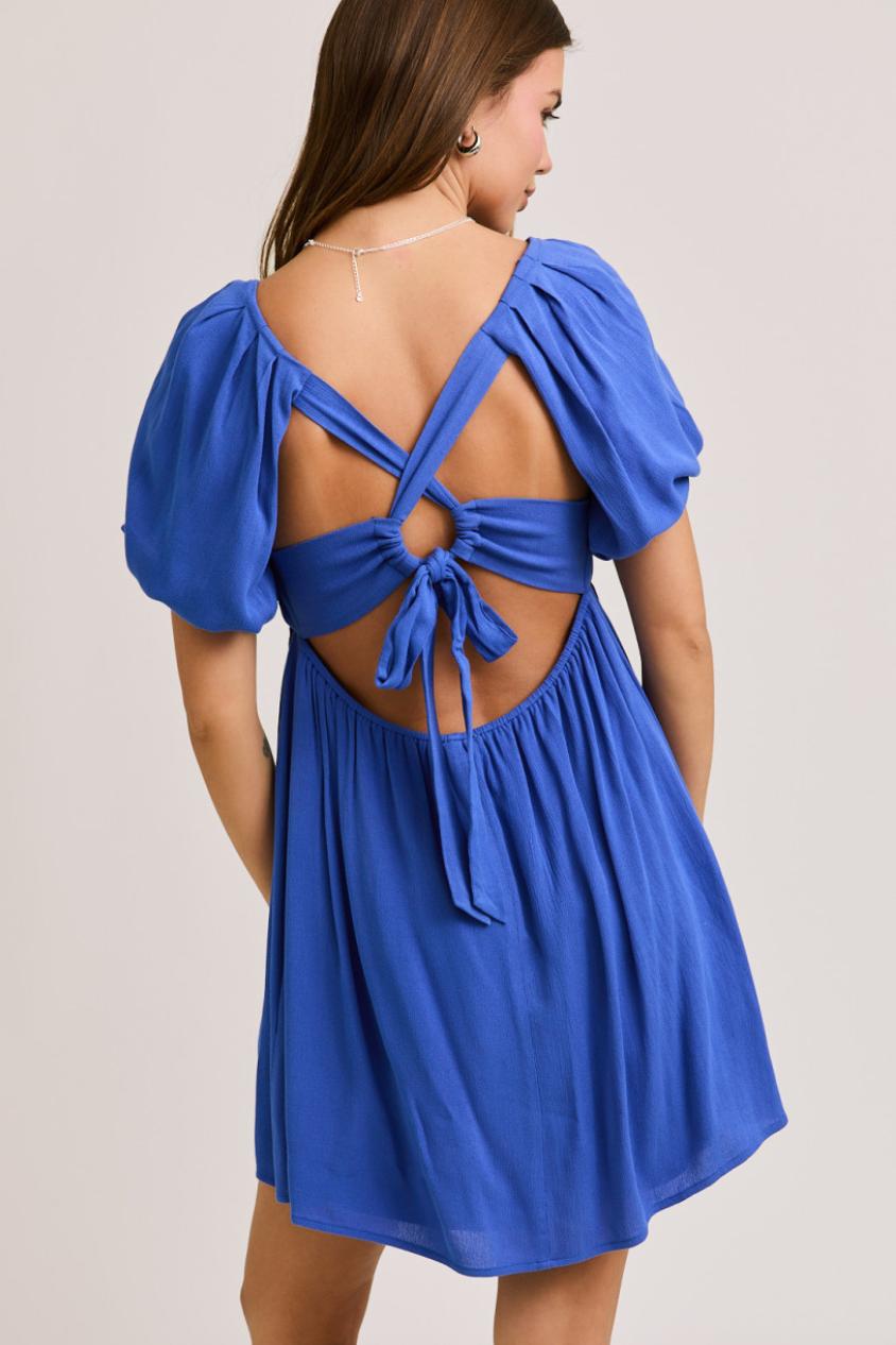 Birdie Mini Dress Product Image