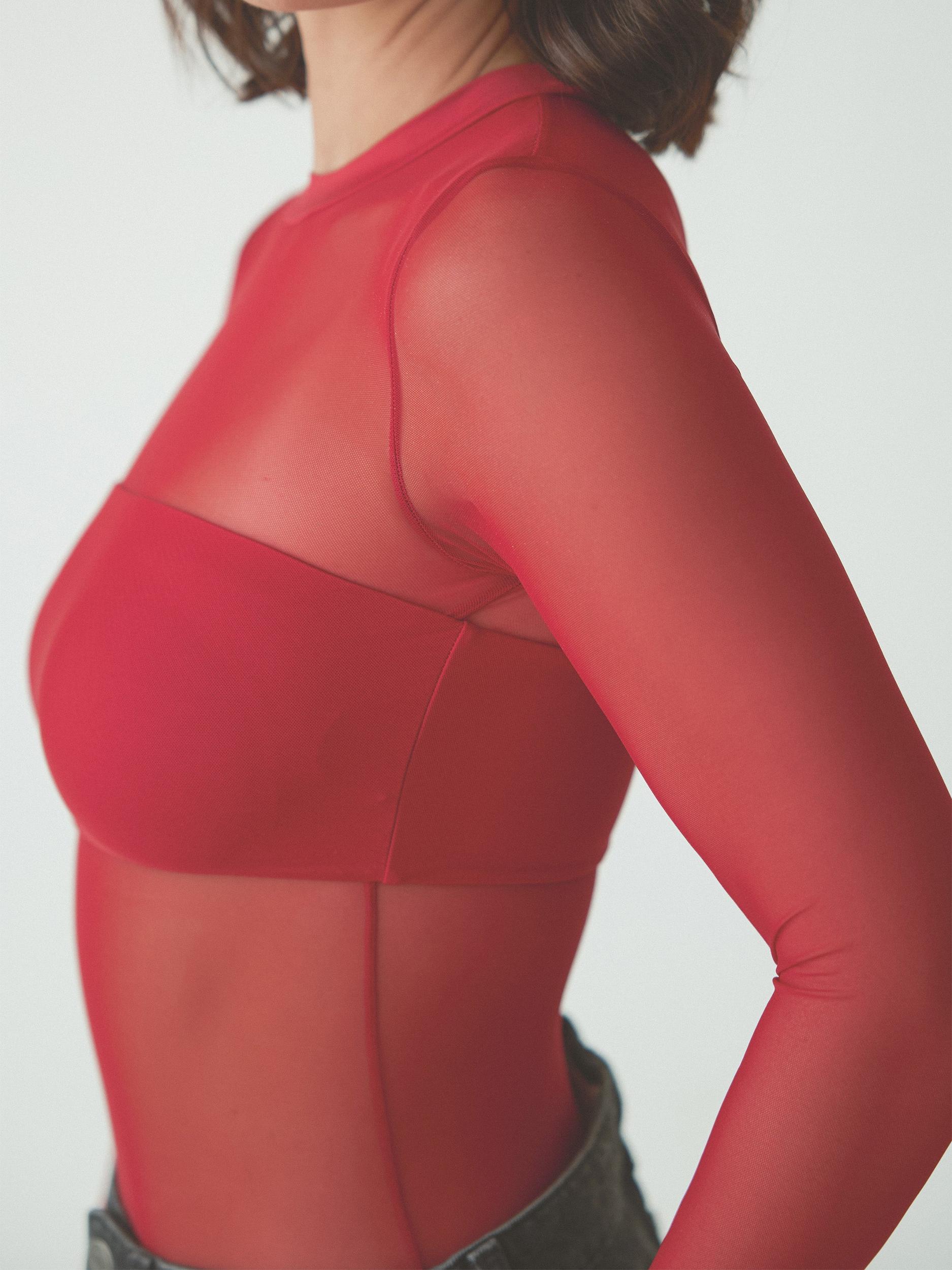 Mesh Bandeau Long Sleeve Bramisuit Product Image