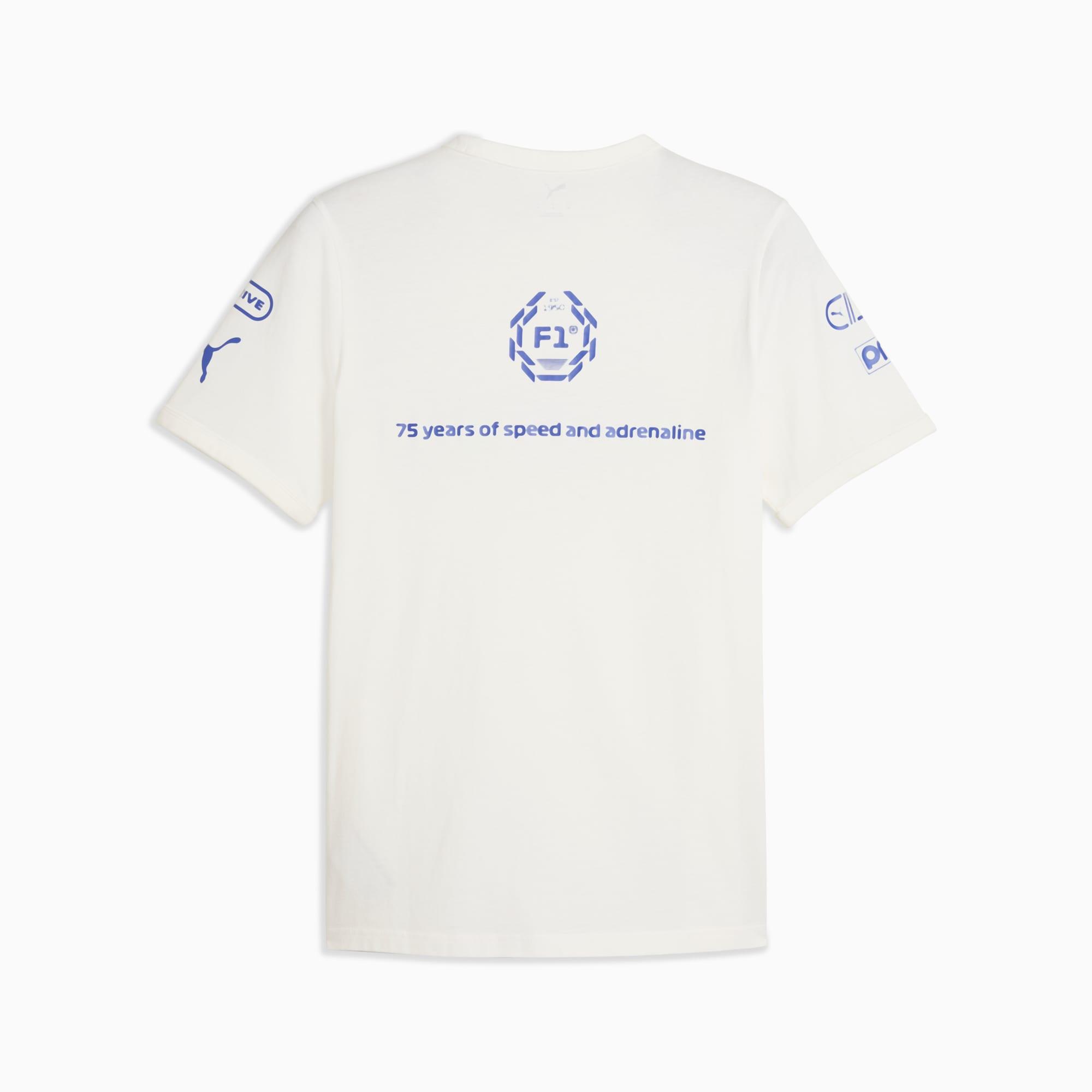 Formula 1® Men's Graphic Ringer Tee Product Image