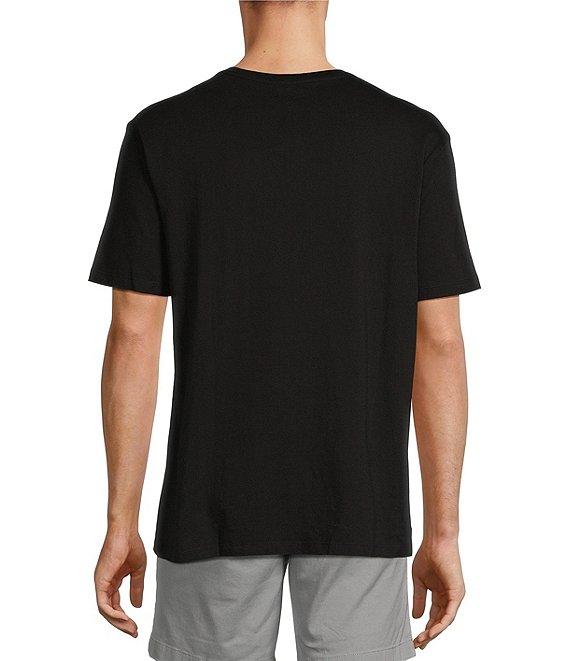 Roundtree & Yorke Solid Cloud Short Sleeve V-Neck T-Shirt Product Image