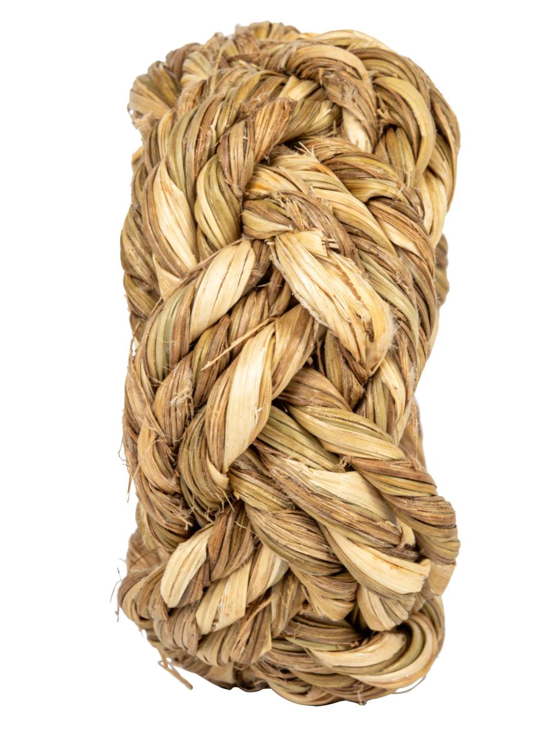 Seagrass Napkin Rings, Set of 4 Product Image