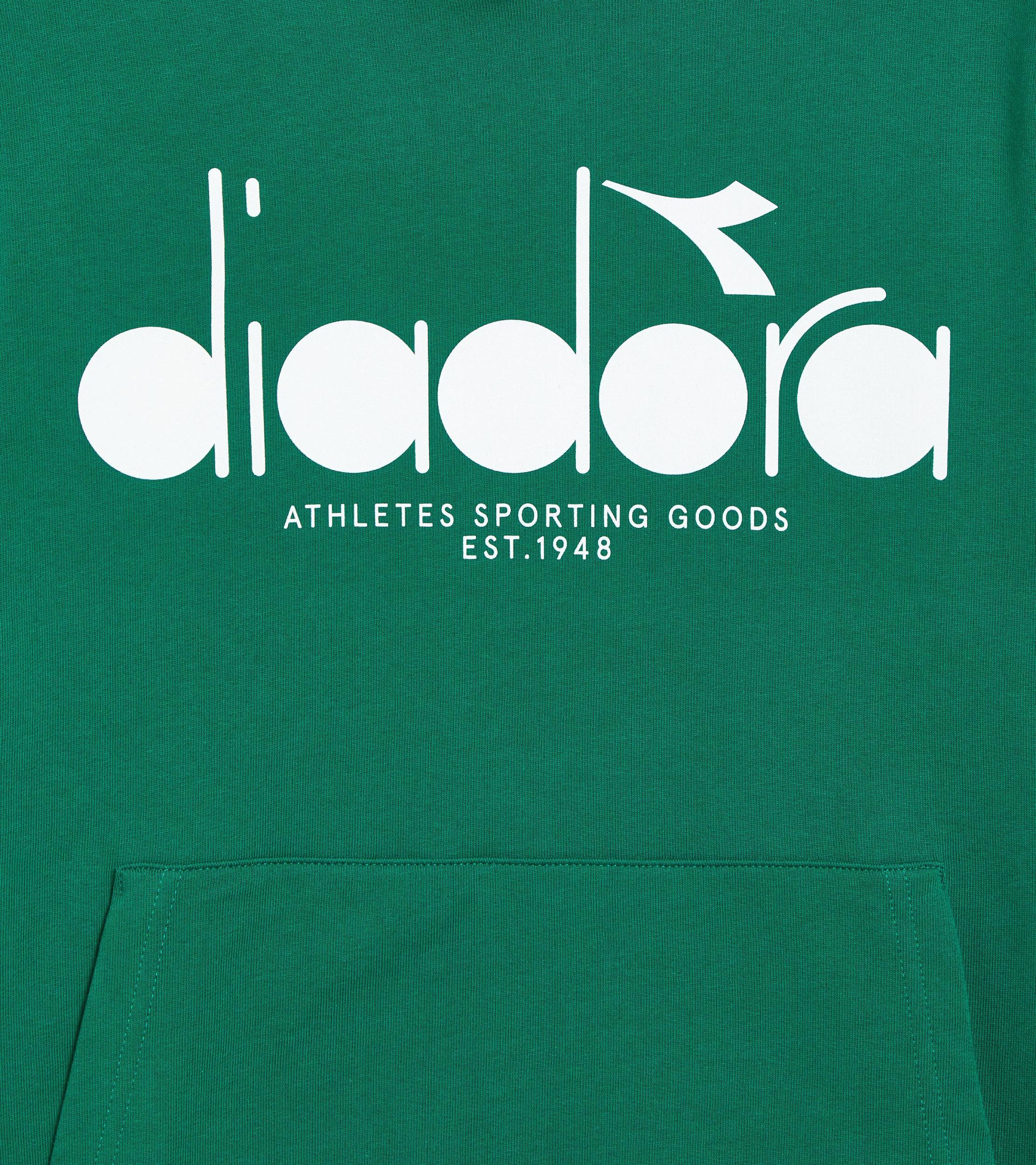 HOODIE LOGO Product Image