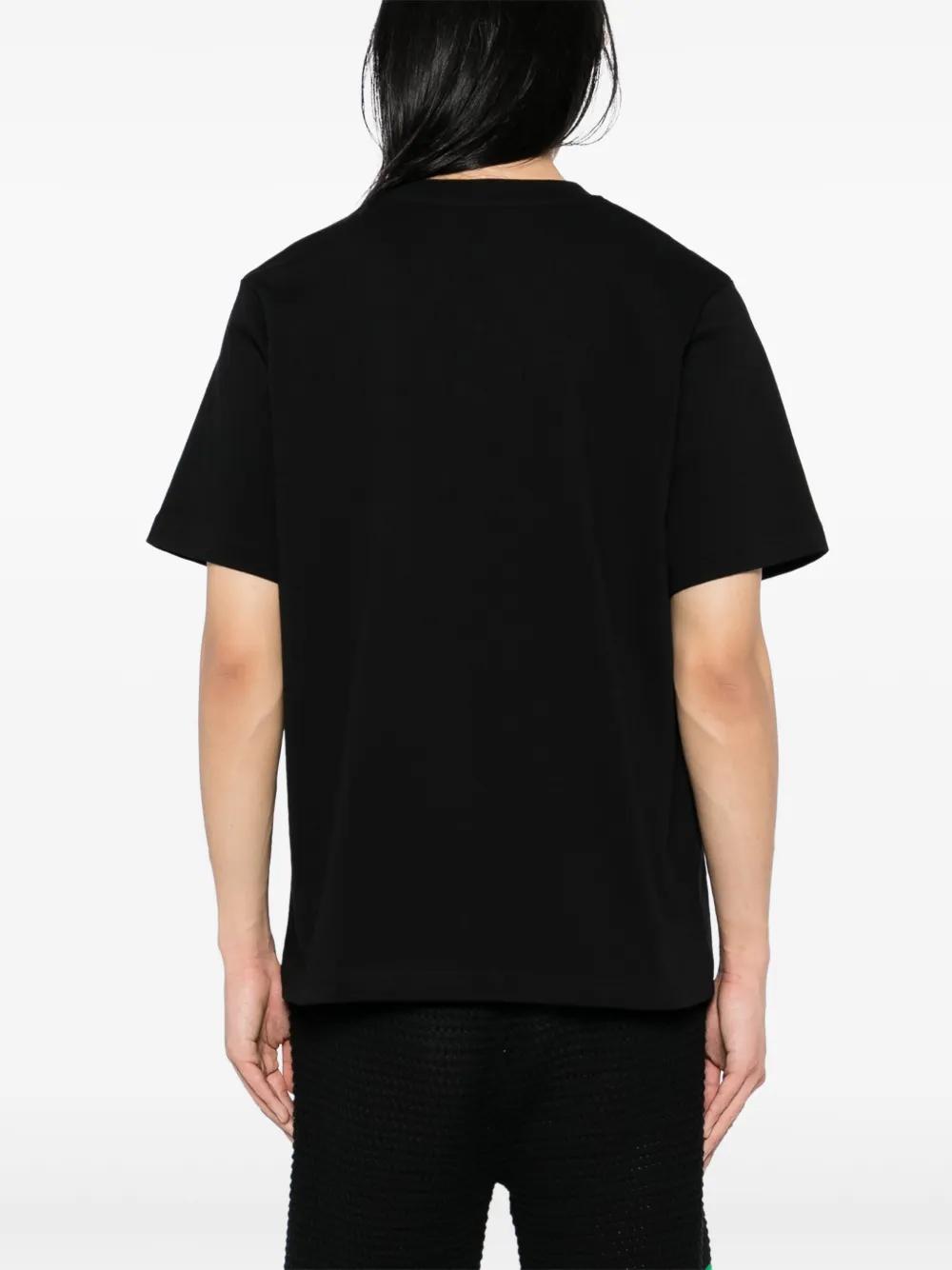 The Four Elements T-shirt Product Image