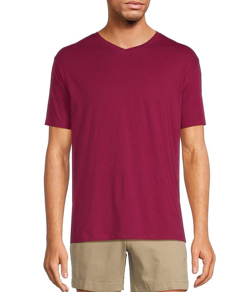 Roundtree & Yorke Solid Cloud Short Sleeve V-Neck T-Shirt Product Image
