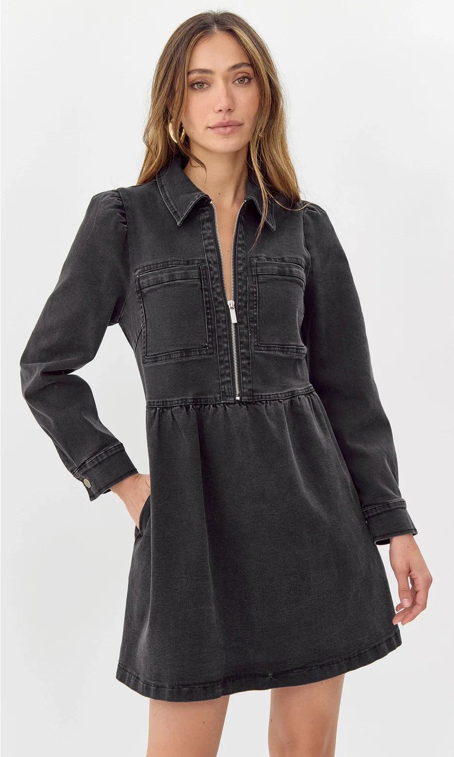 Lia Denim Zip Dress Product Image